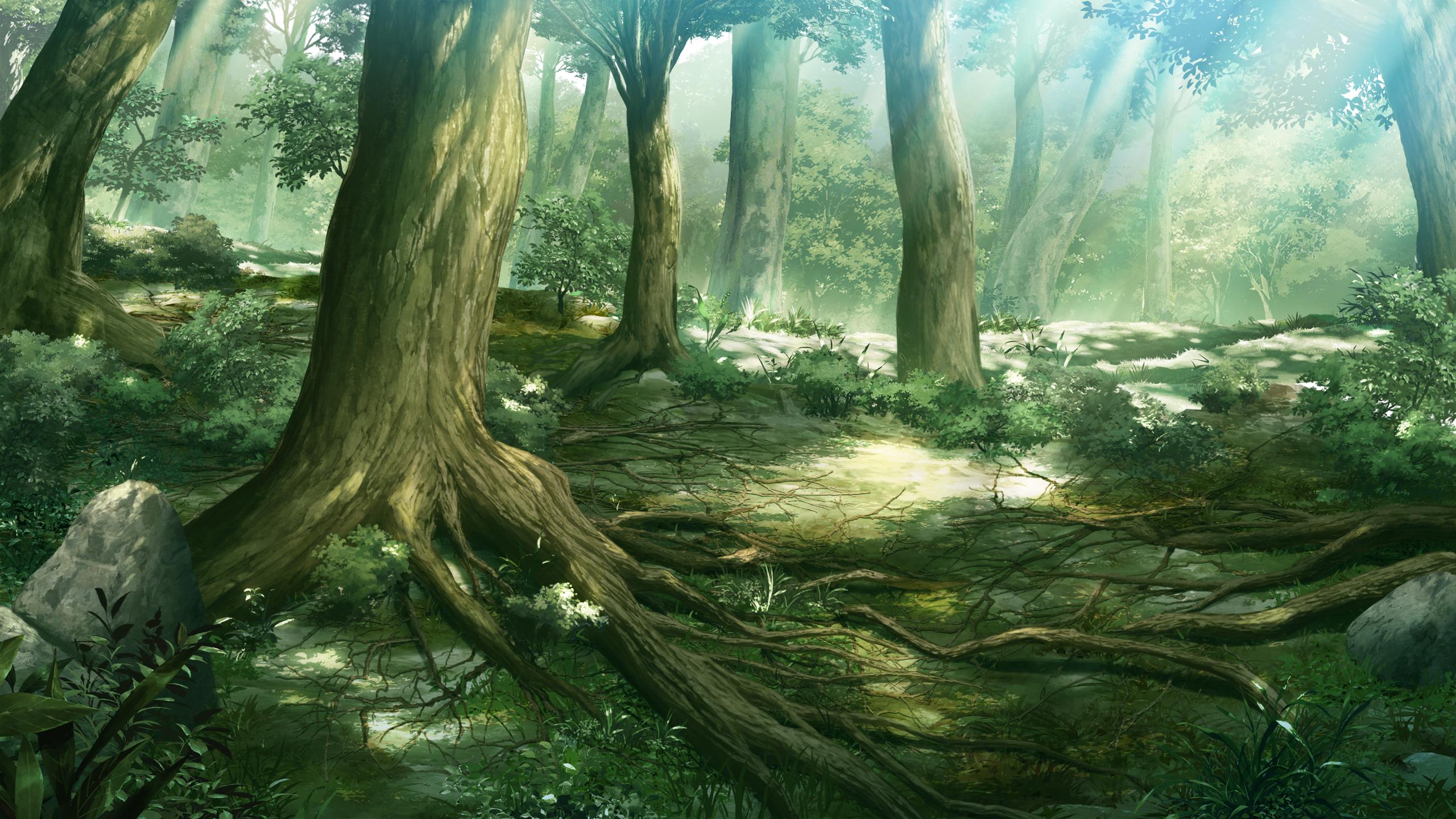 Cool Anime Forest Wallpapers