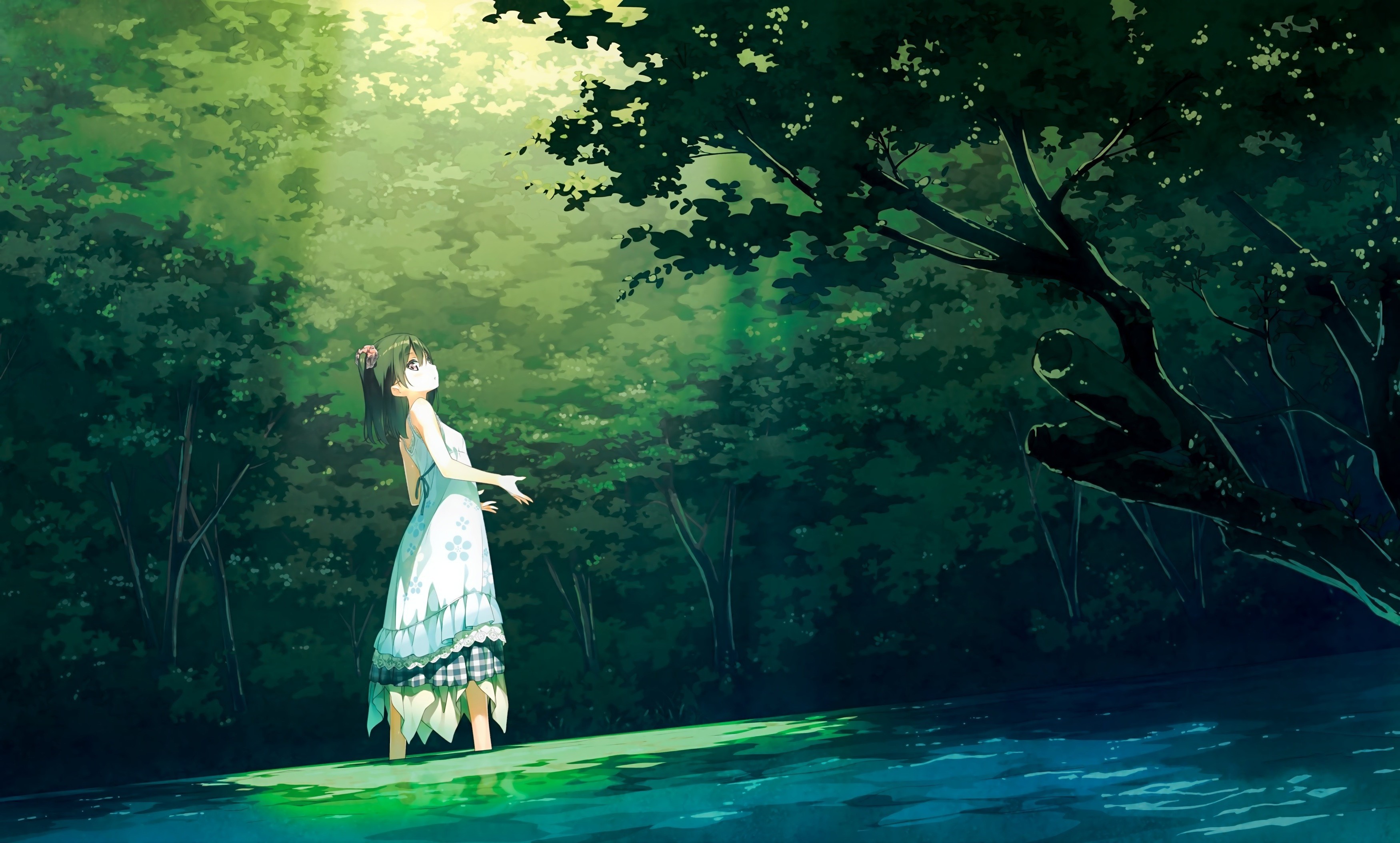 Cool Anime Forest Wallpapers