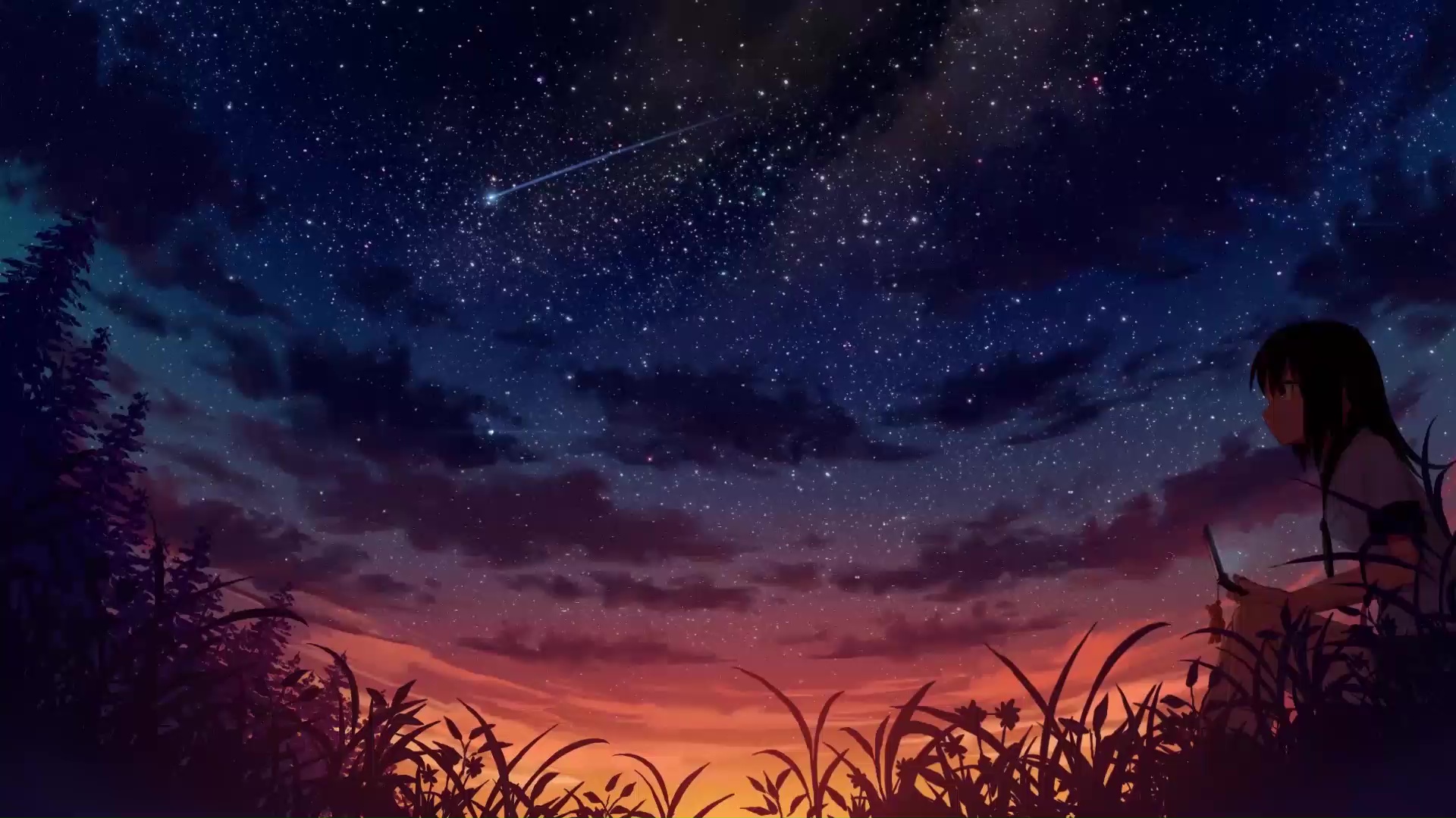 Cool Anime Starry Night Illustration Wallpapers