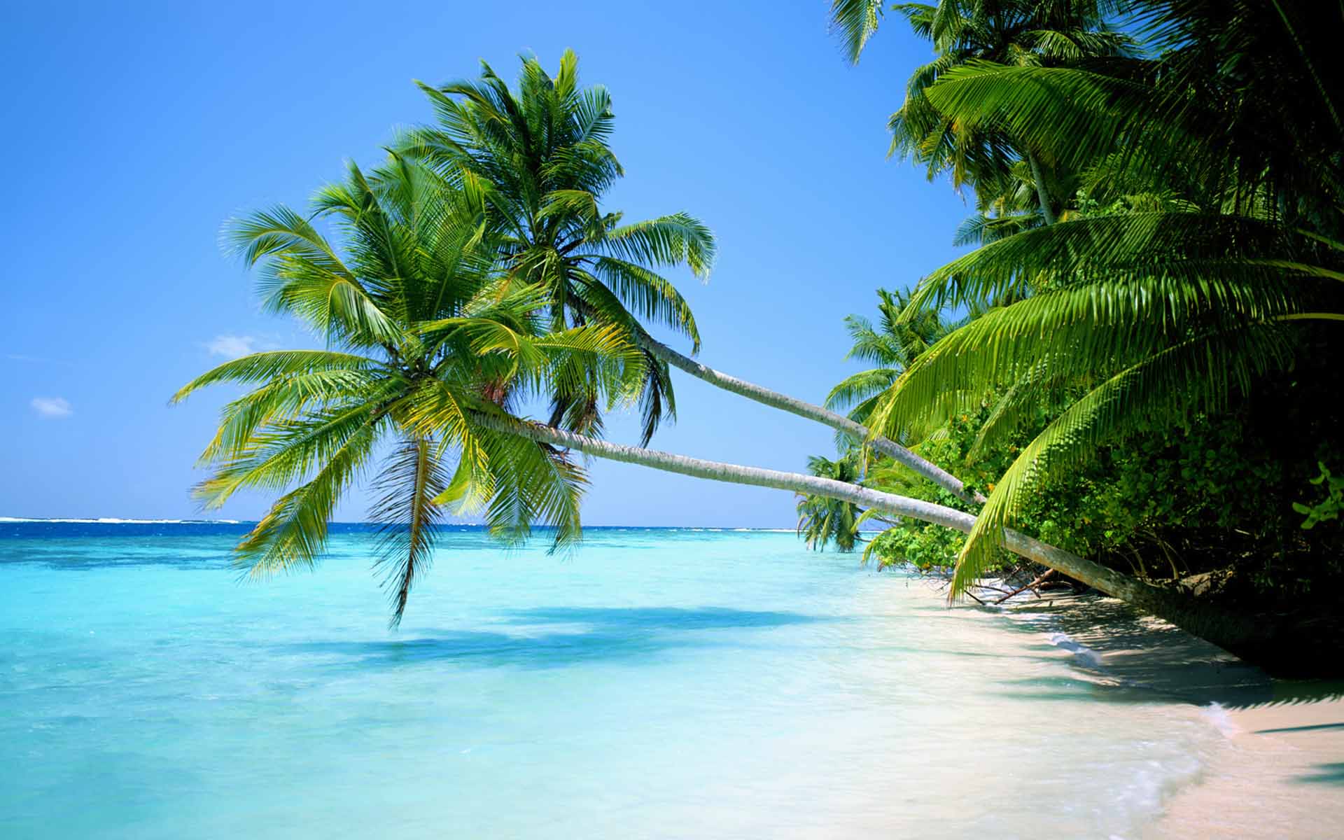 Cool Beach Wallpapers