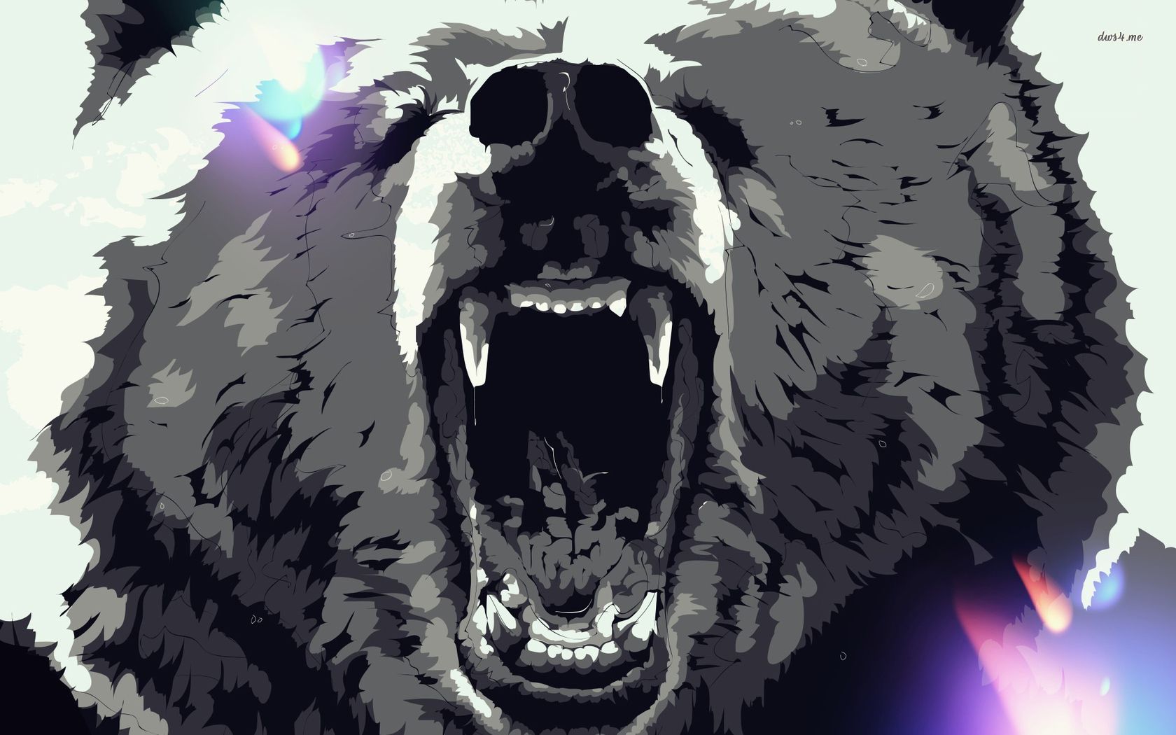 Cool Bear Wallpapers Wallpapers