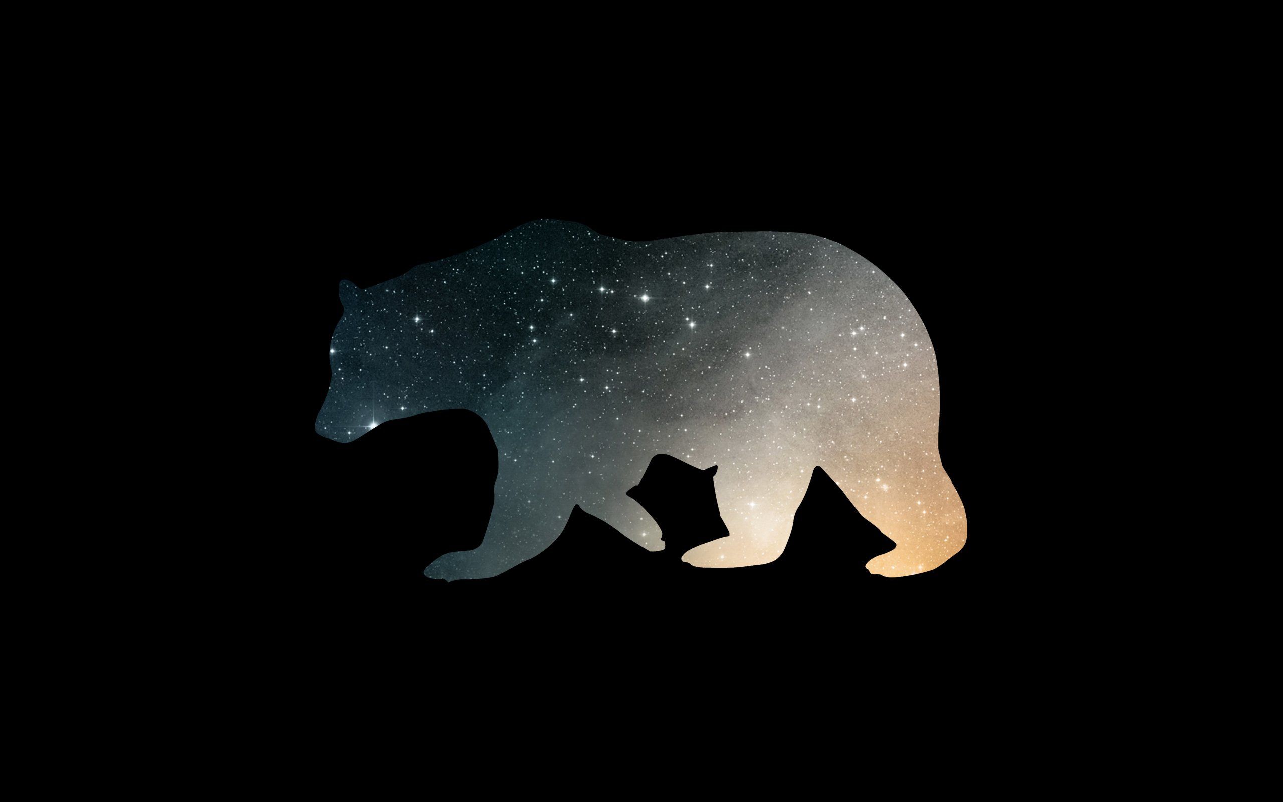 Cool Bear Wallpapers Wallpapers