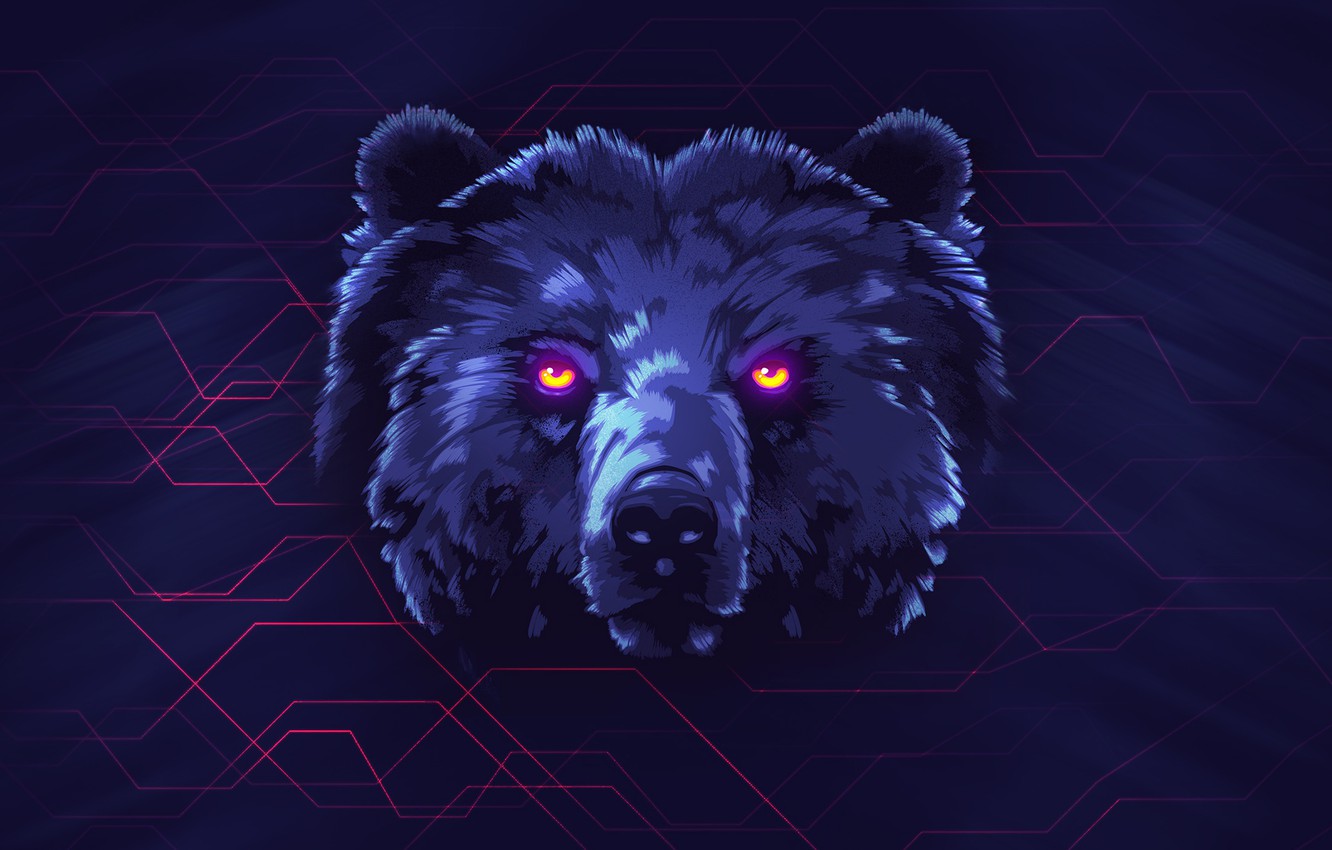 Cool Bear Wallpapers Wallpapers