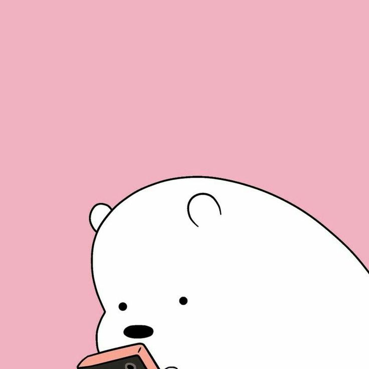 Cool Bear Wallpapers Wallpapers