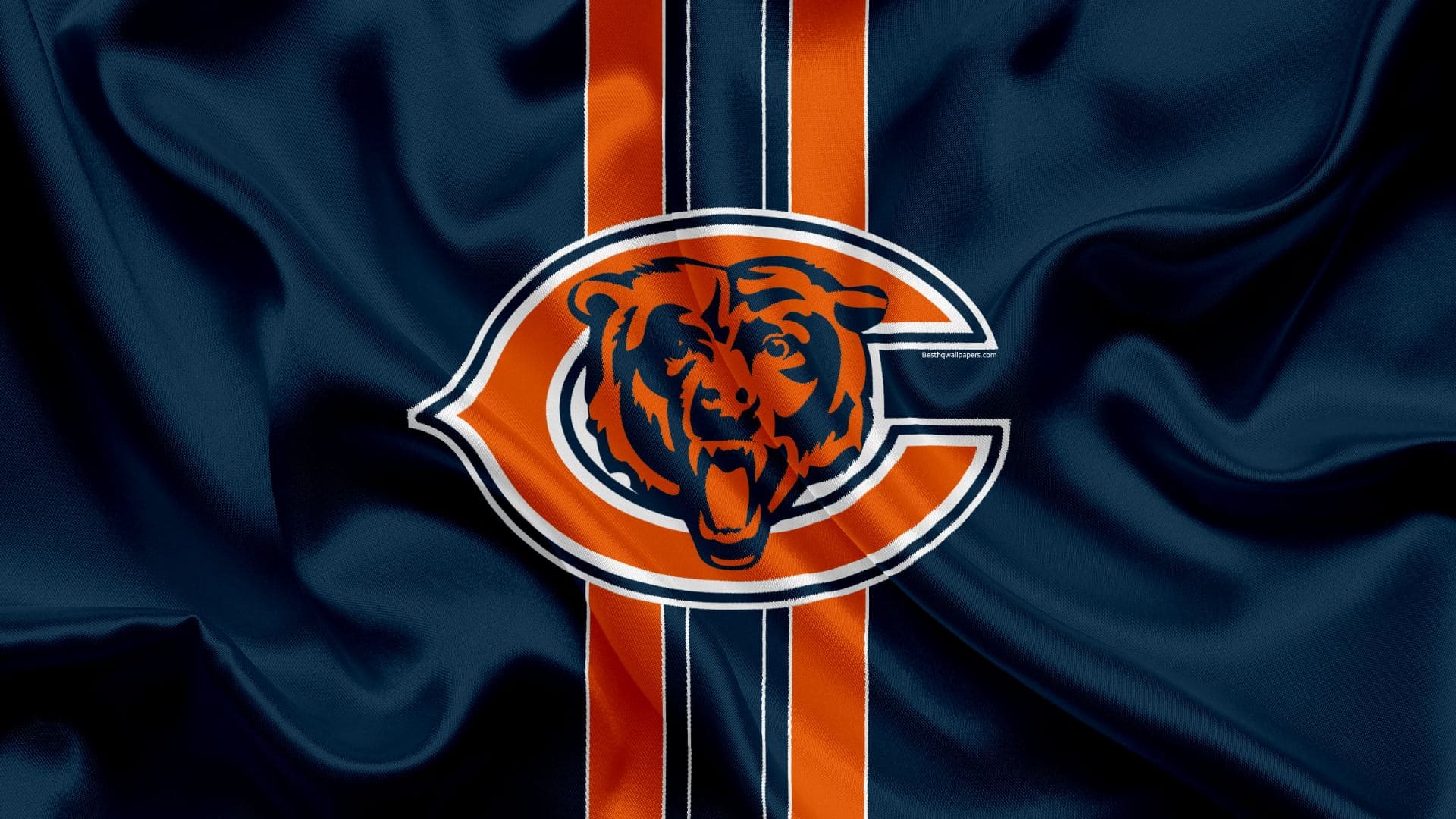 Cool Bears Logo Wallpapers