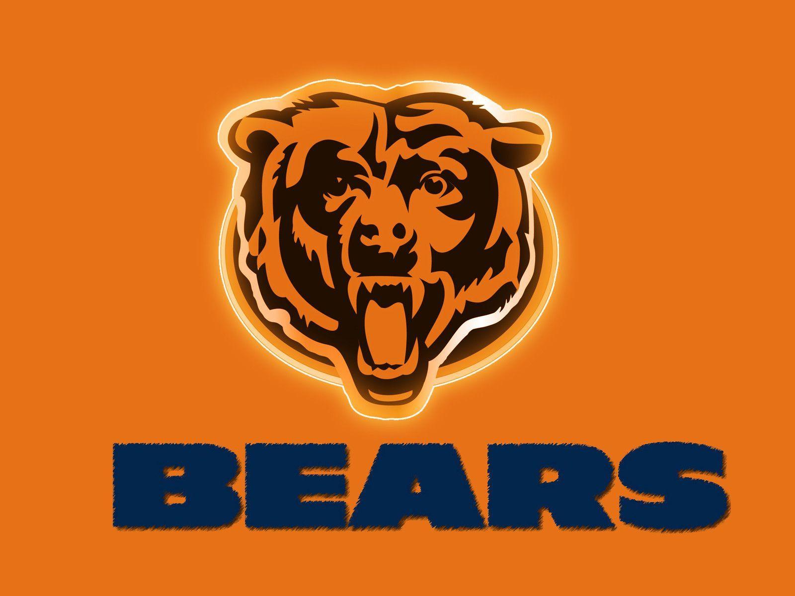 Cool Bears Logo Wallpapers