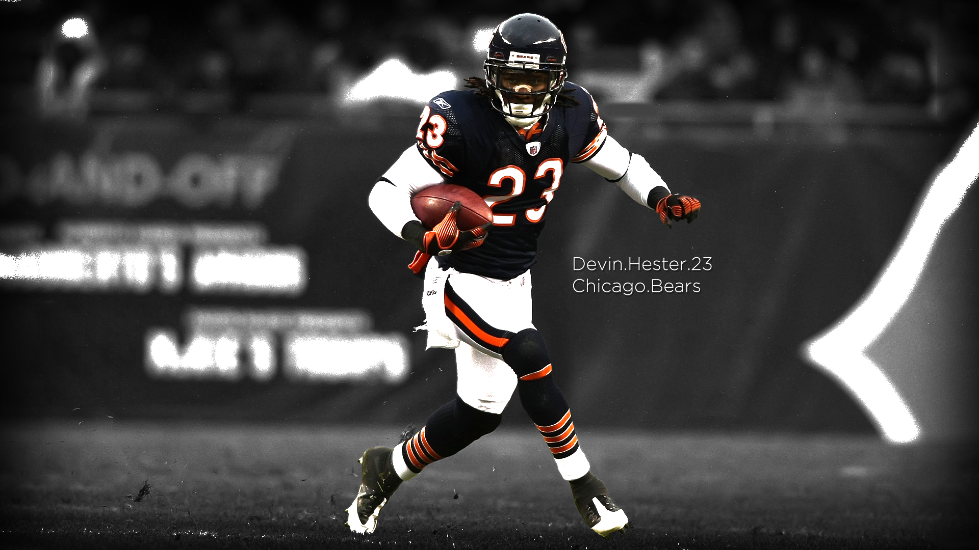 Cool Bears Logo Wallpapers