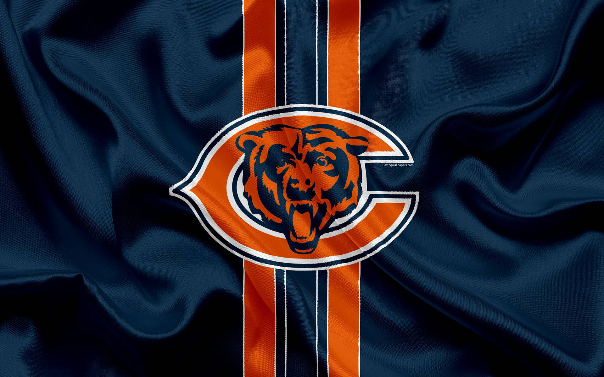 Cool Bears Logo Wallpapers