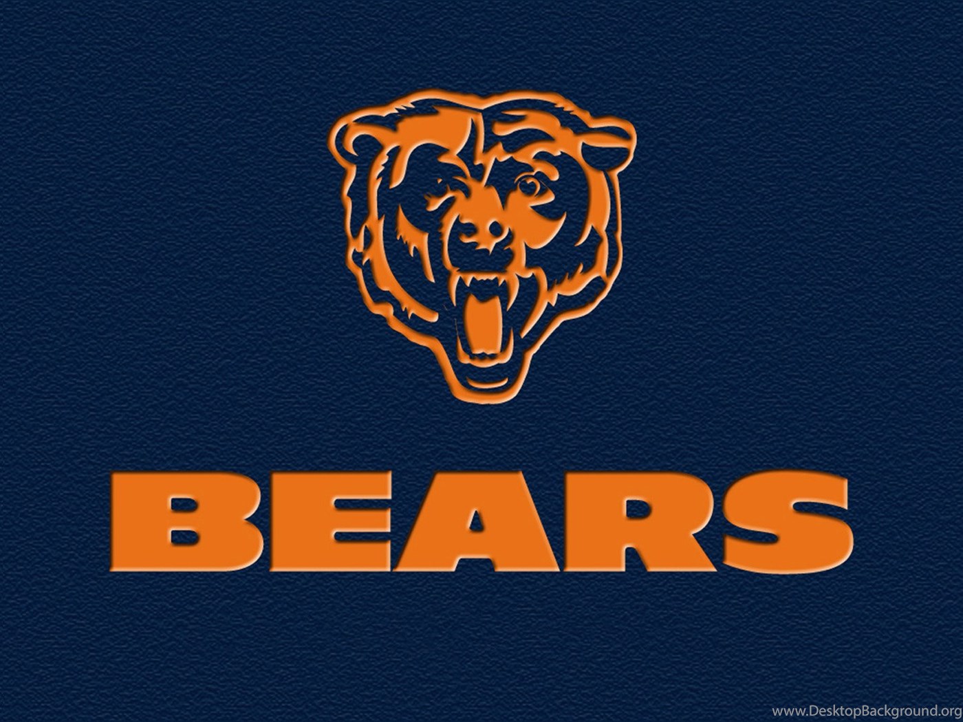 Cool Bears Logo Wallpapers