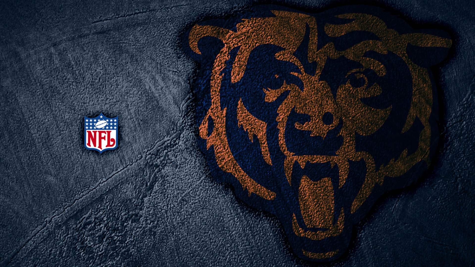 Cool Bears Wallpapers