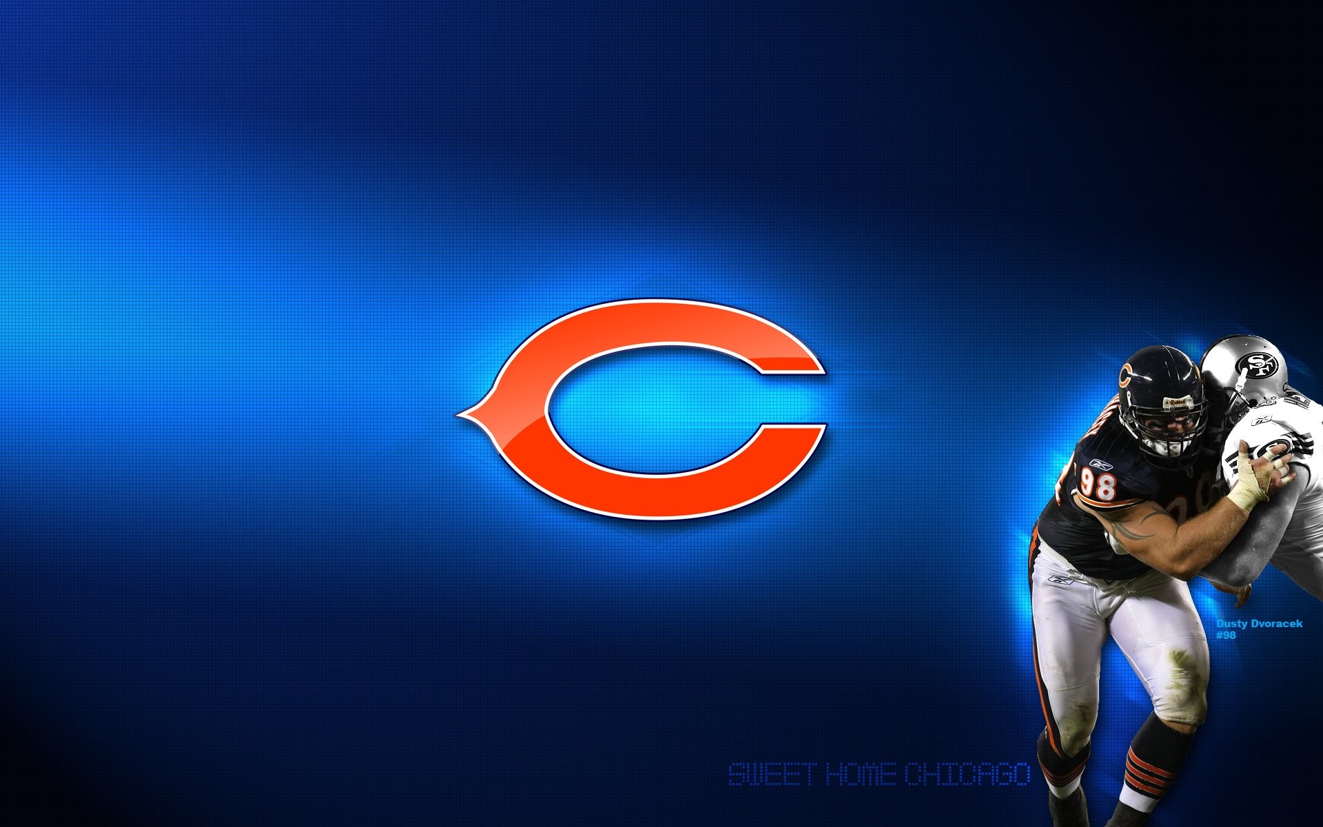 Cool Bears Wallpapers