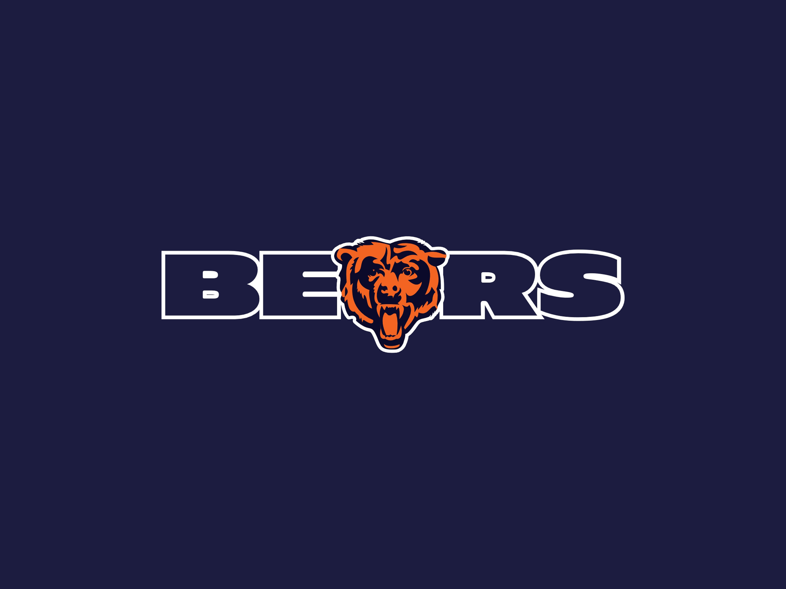 Cool Bears Wallpapers