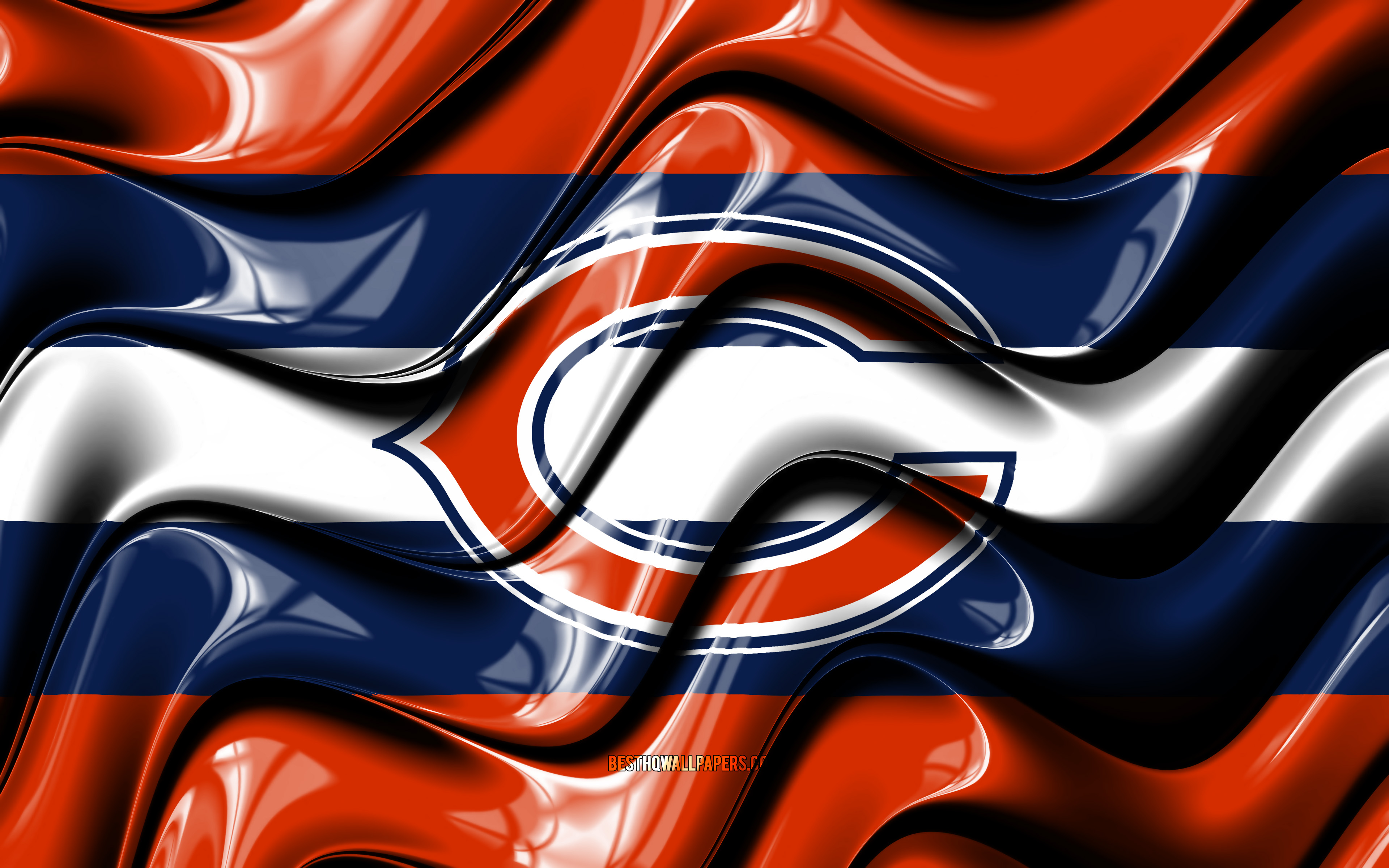 Cool Bears Wallpapers