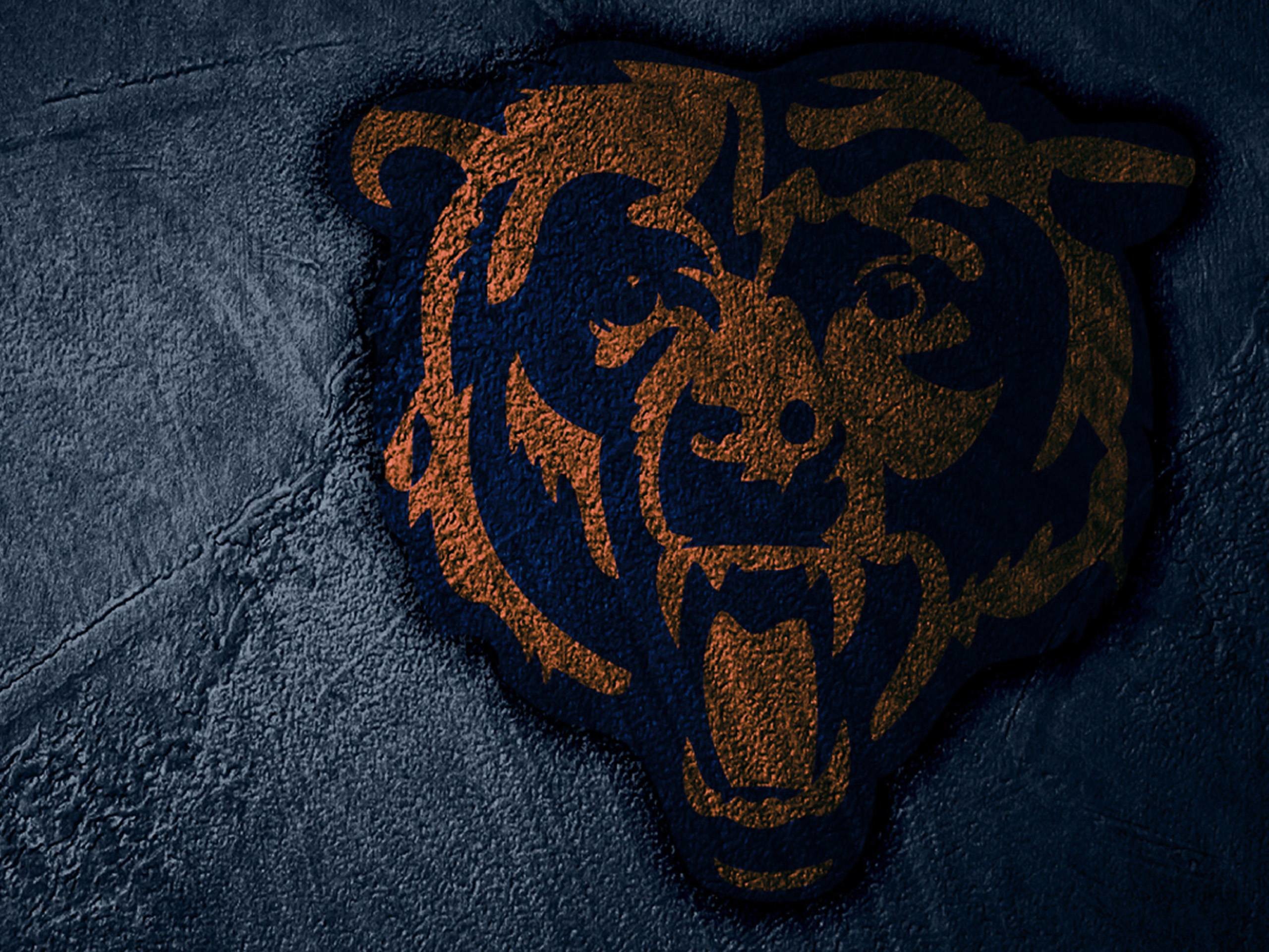 Cool Bears Wallpapers