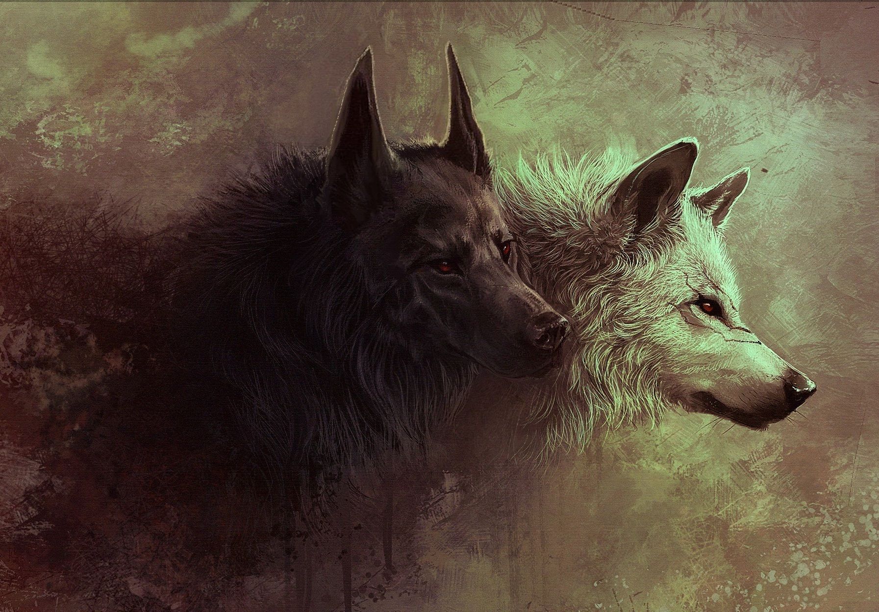 Cool Black And White Wolf Wallpapers Wallpapers