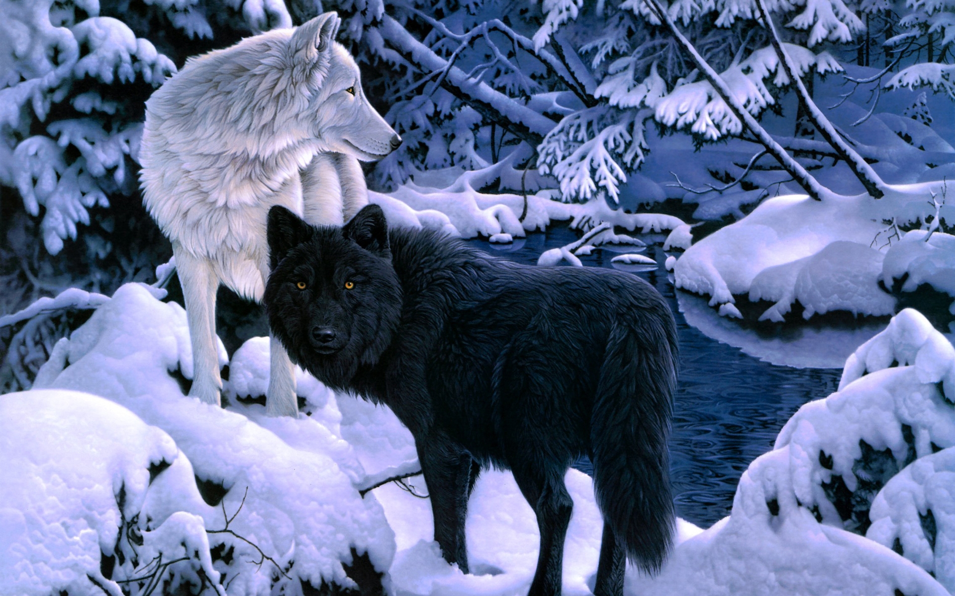 Cool Black And White Wolf Wallpapers Wallpapers