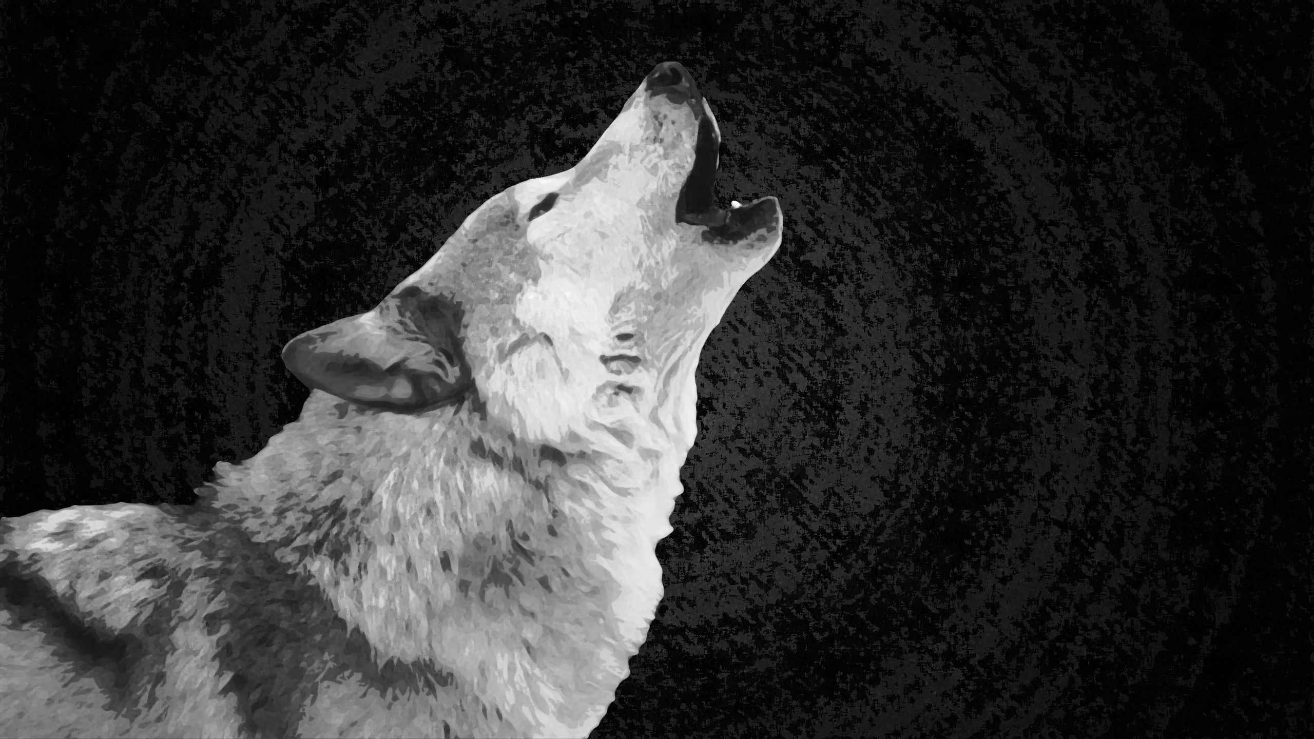 Cool Black And White Wolf Wallpapers Wallpapers