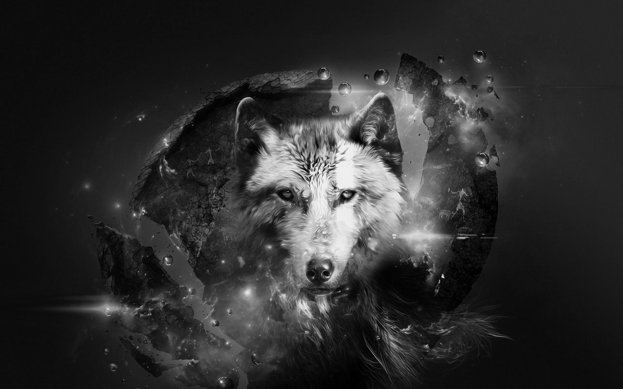 Cool Black And White Wolf Wallpapers Wallpapers