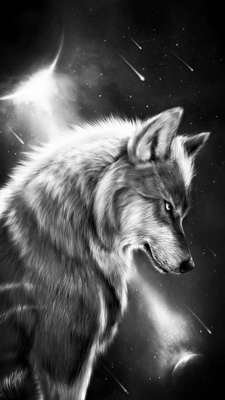 Cool Black And White Wolf Wallpapers Wallpapers