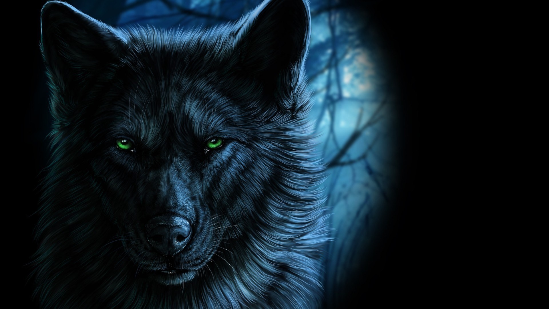 Cool Black Wolf Wallpapers Wallpapers