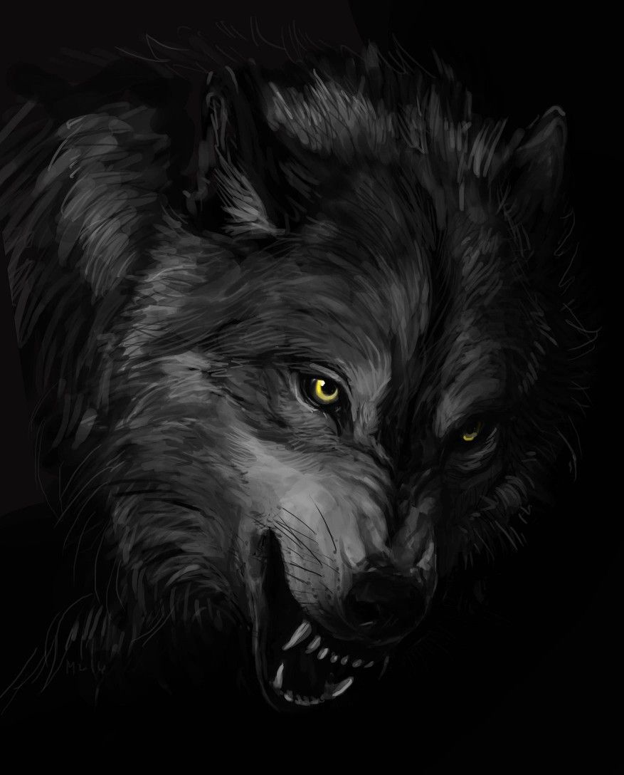 Cool Black Wolf Wallpapers Wallpapers