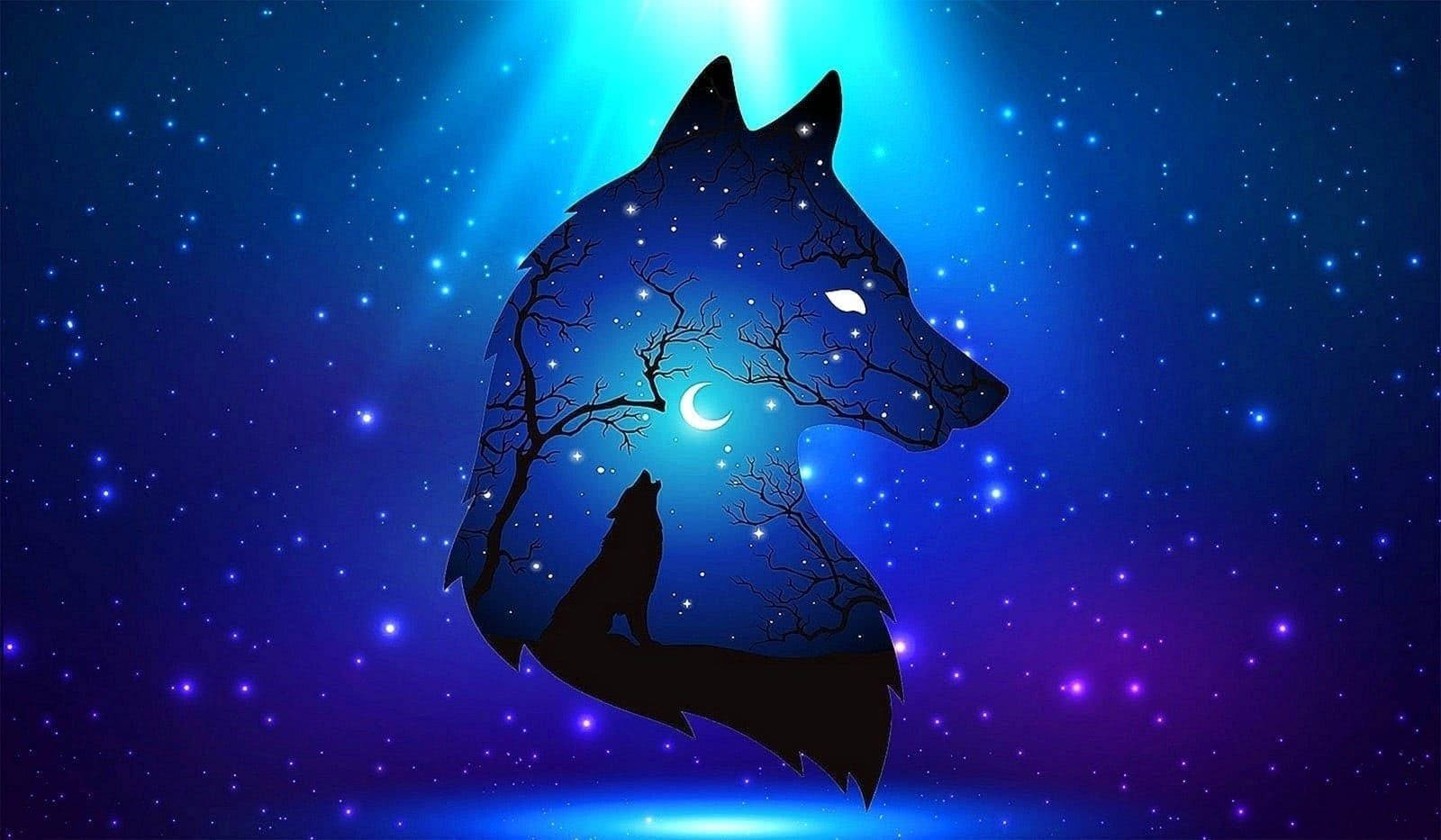 Cool Black Wolf Wallpapers Wallpapers