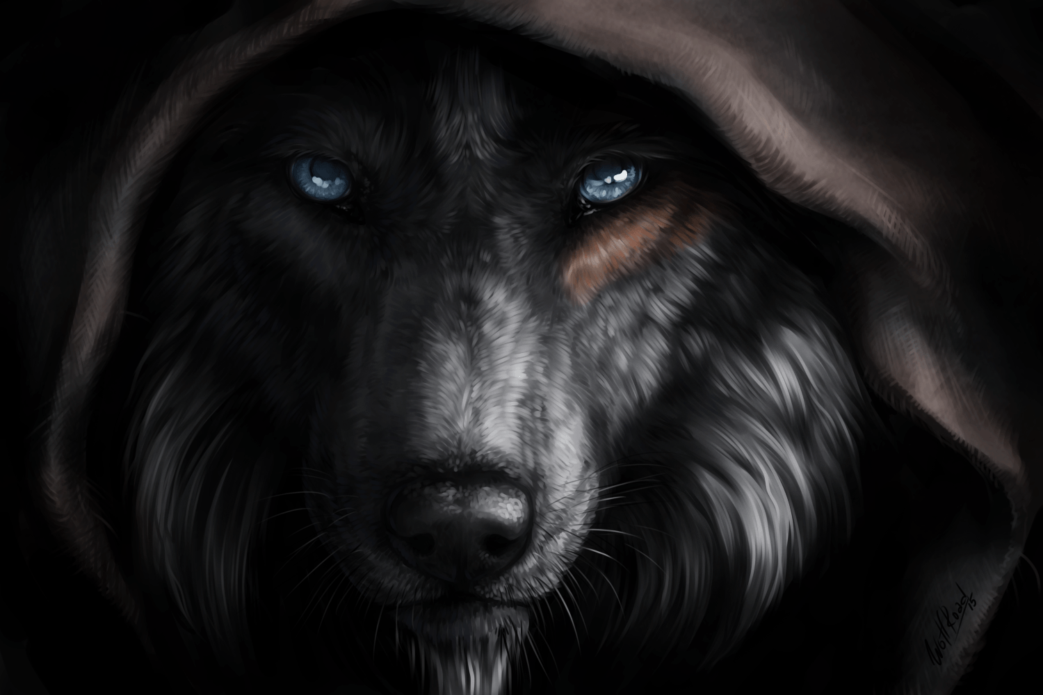 Cool Black Wolf Wallpapers Wallpapers