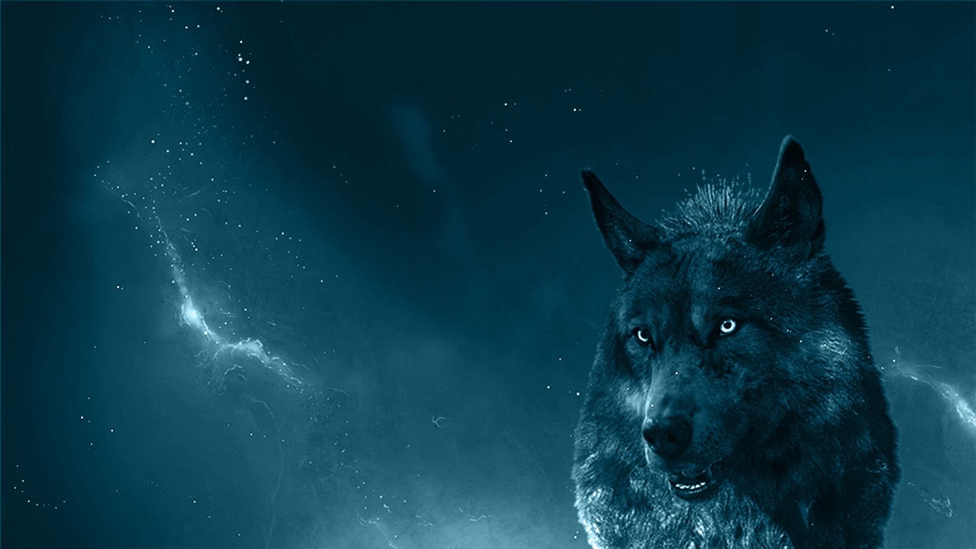 Cool Black Wolf Wallpapers Wallpapers