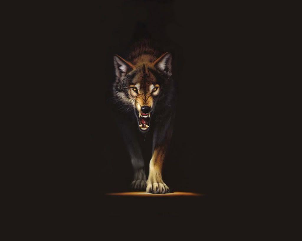 Cool Black Wolf Wallpapers Wallpapers