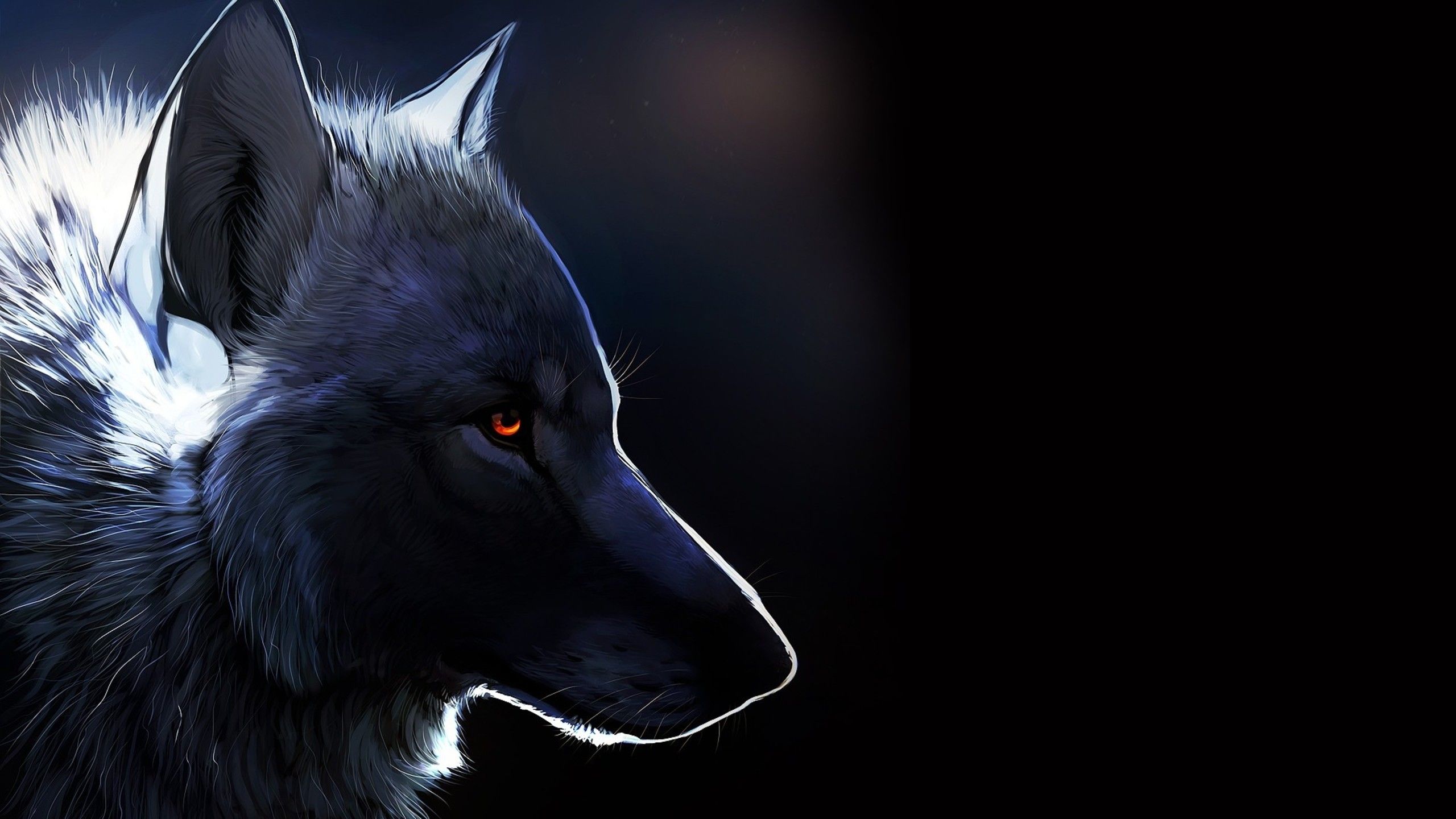 Cool Black Wolf Wallpapers Wallpapers