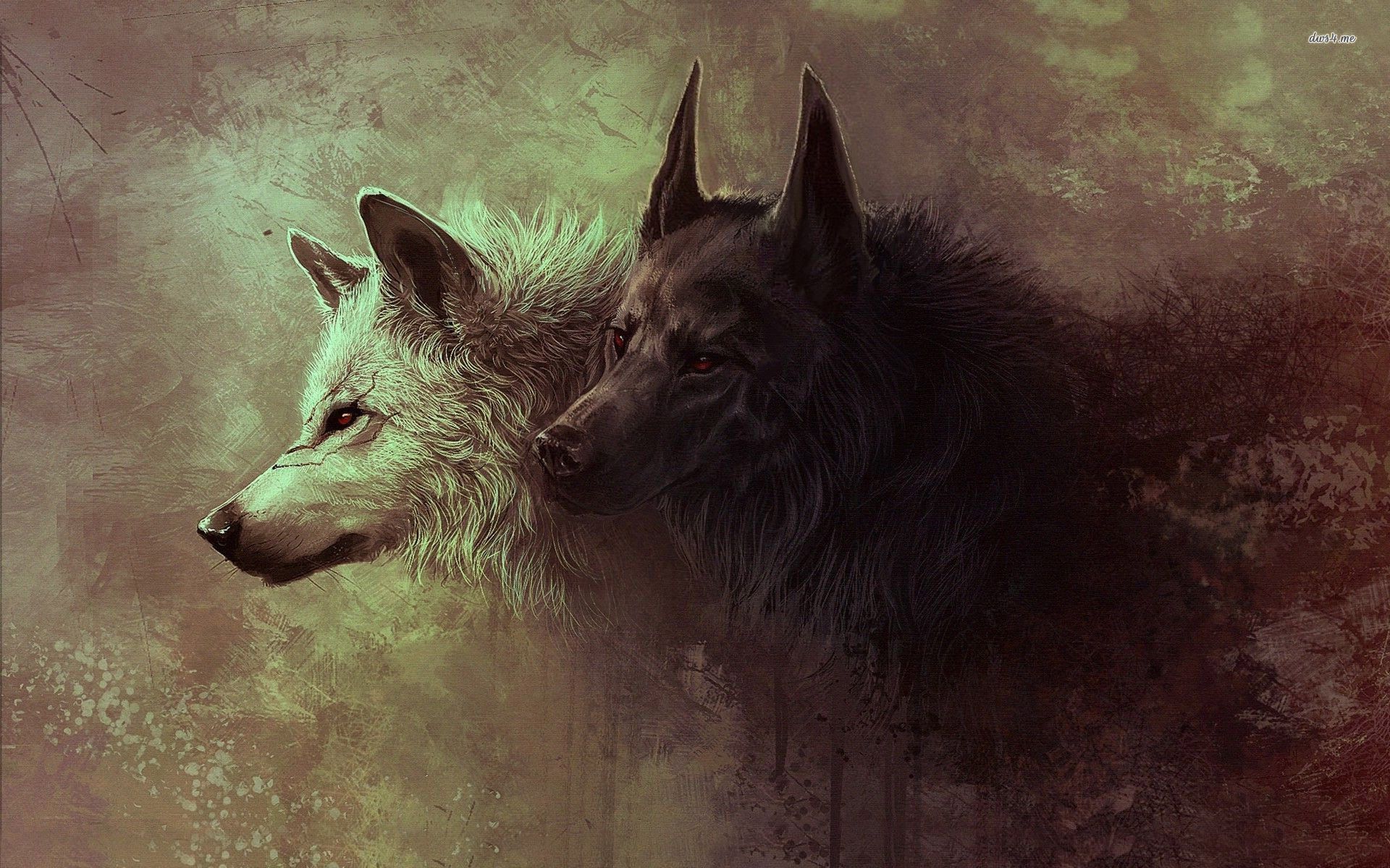 Cool Black Wolf Wallpapers Wallpapers