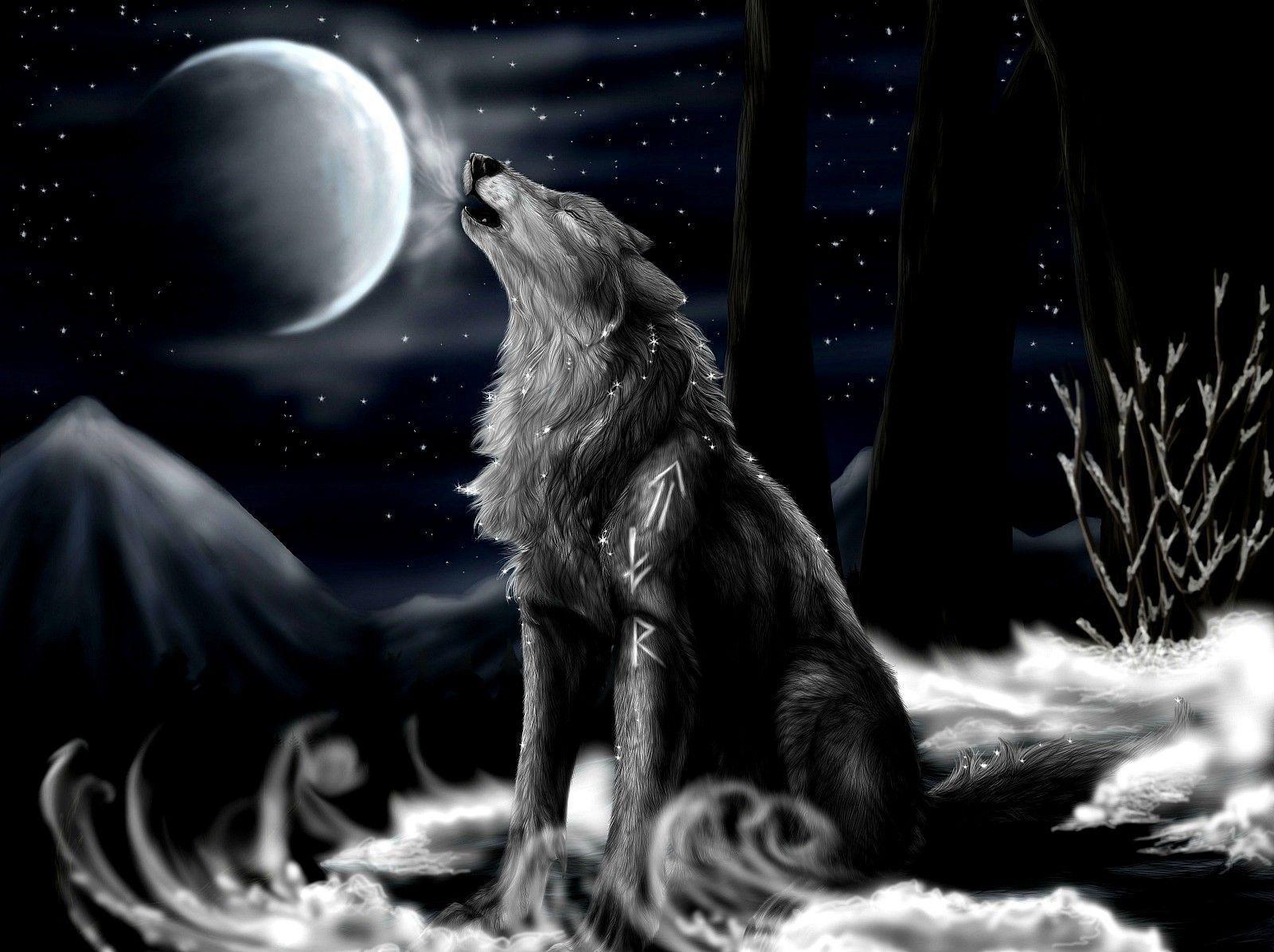 Cool Black Wolf Wallpapers Wallpapers