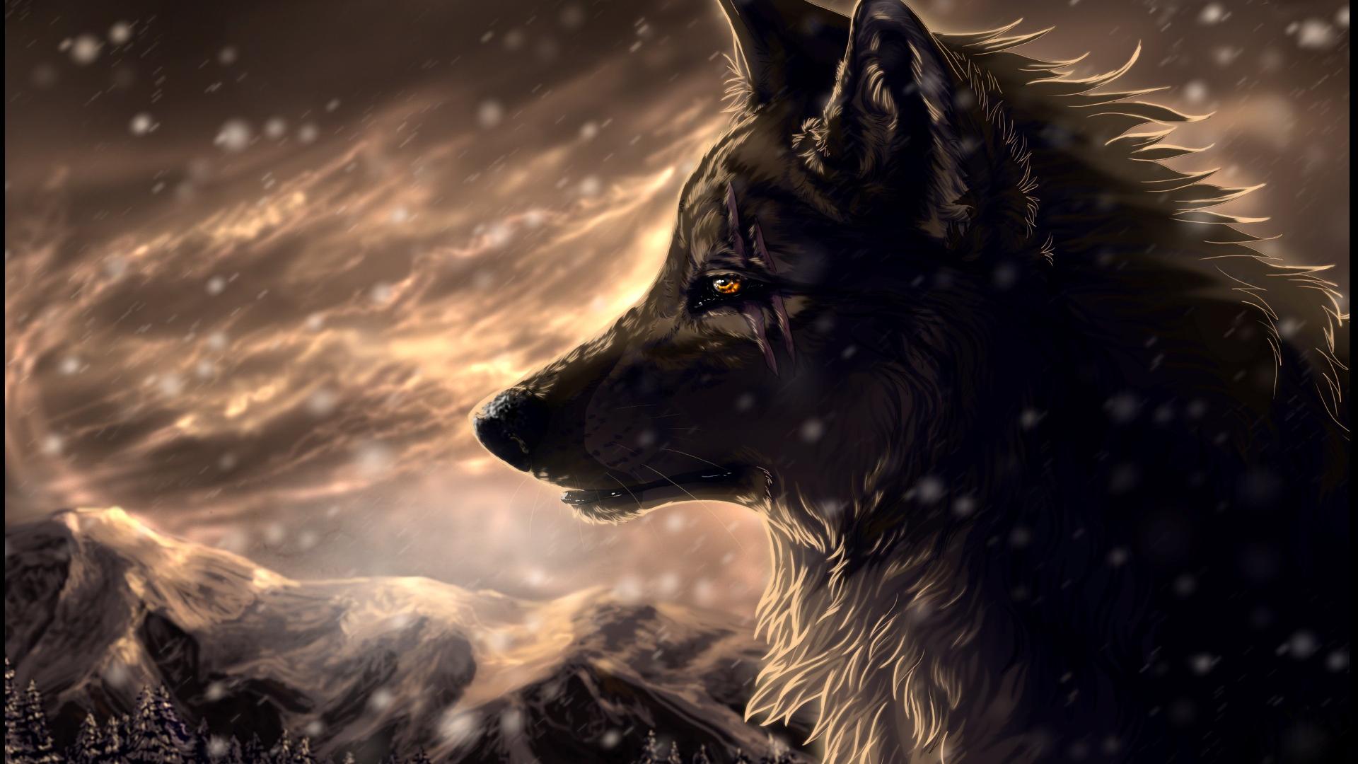 Cool Black Wolf Wallpapers Wallpapers