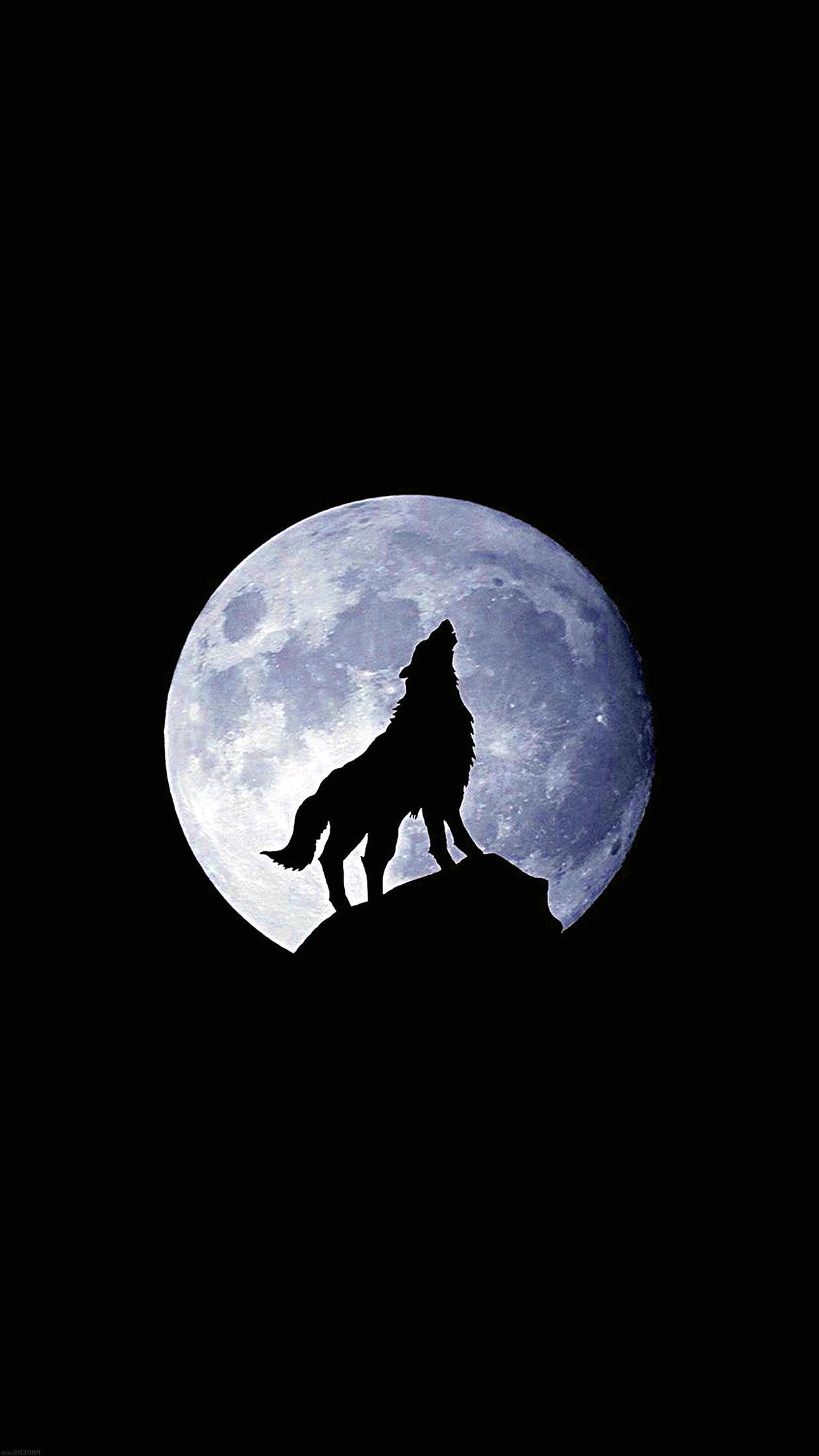 Cool Black Wolf Wallpapers Wallpapers