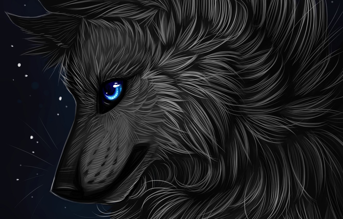 Cool Black Wolf Wallpapers Wallpapers