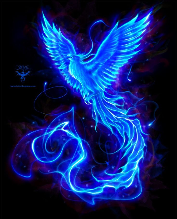 Cool Blue Phoenix Wallpapers