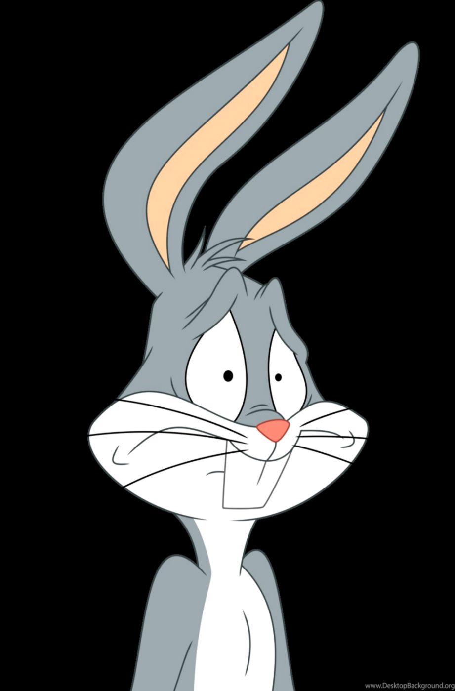 Cool Bugs Bunny Wallpapers