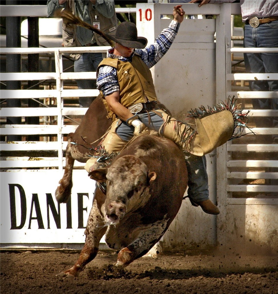 Cool Bull Riding Wallpapers