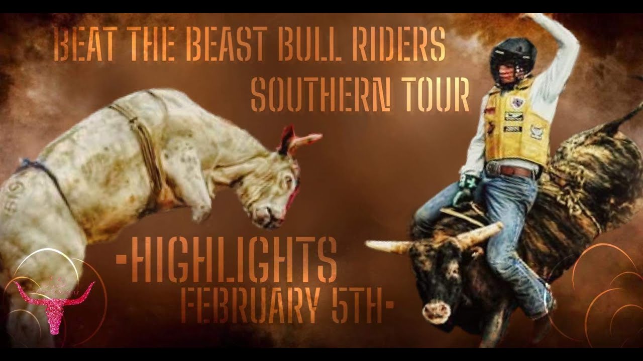 Cool Bull Riding Wallpapers