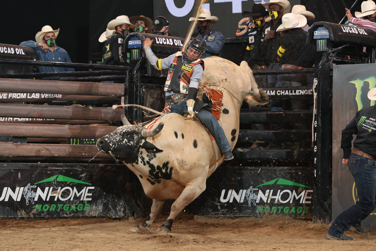 Cool Bull Riding Wallpapers