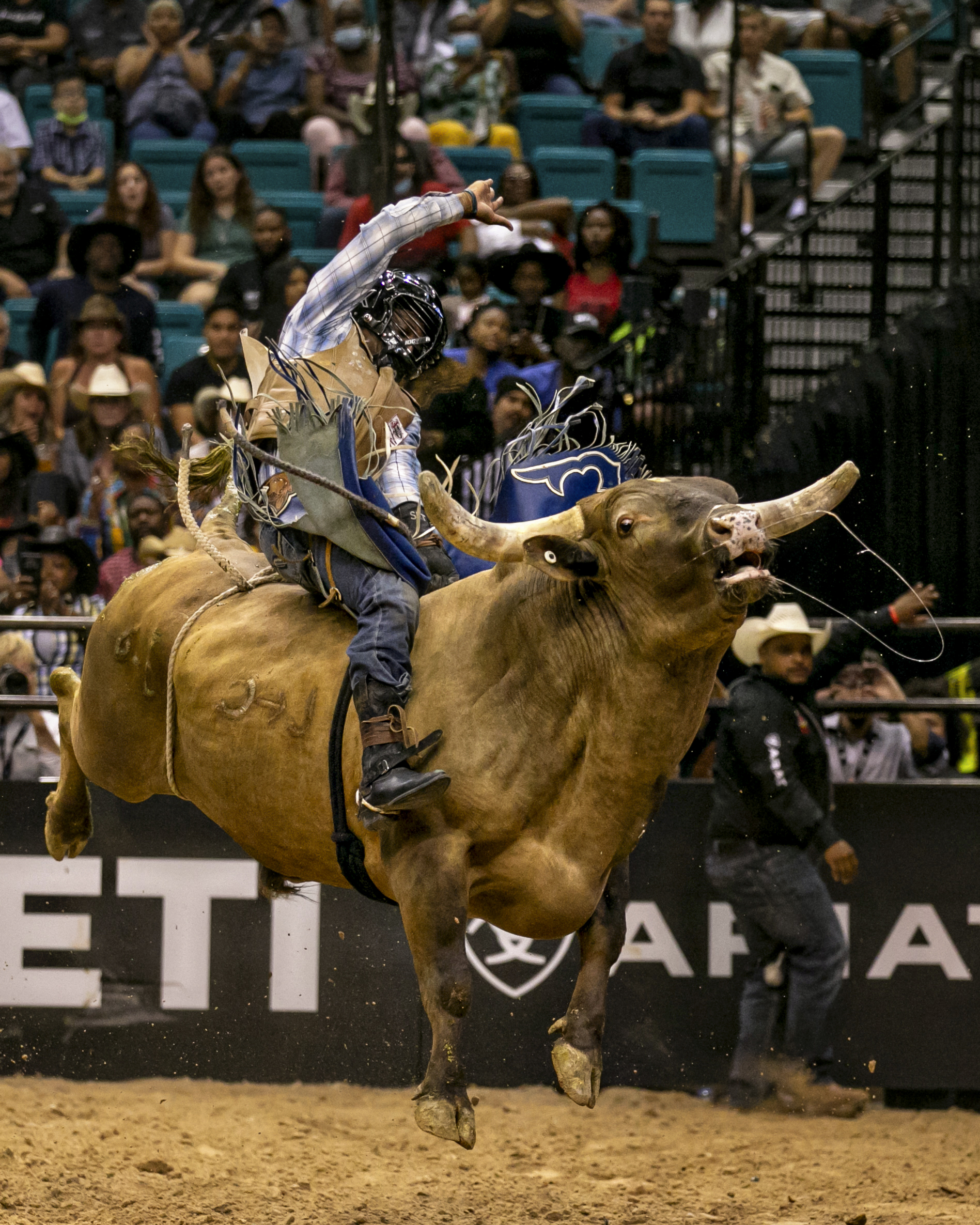 Cool Bull Riding Wallpapers