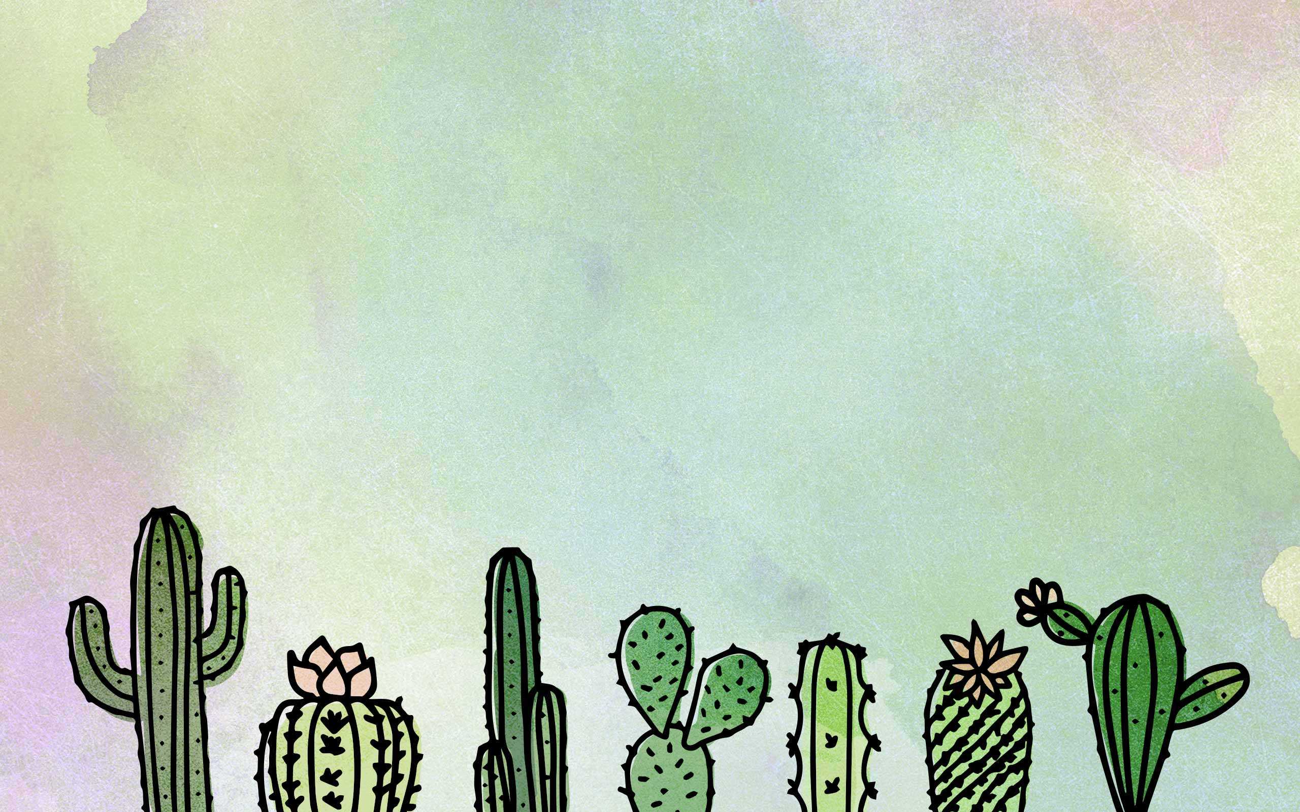 Cool Cactus Wallpapers