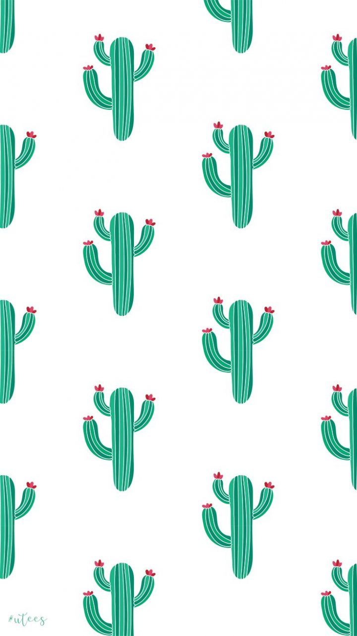 Cool Cactus Wallpapers
