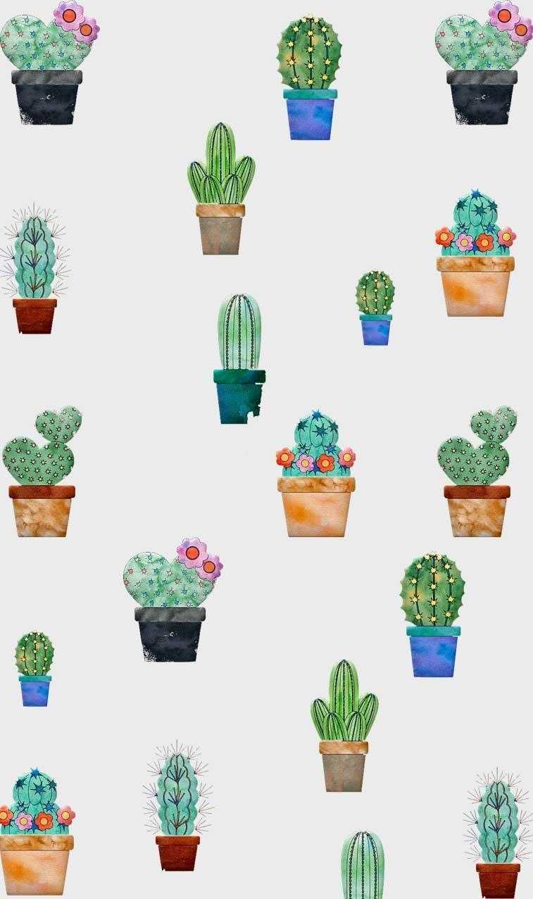 Cool Cactus Wallpapers