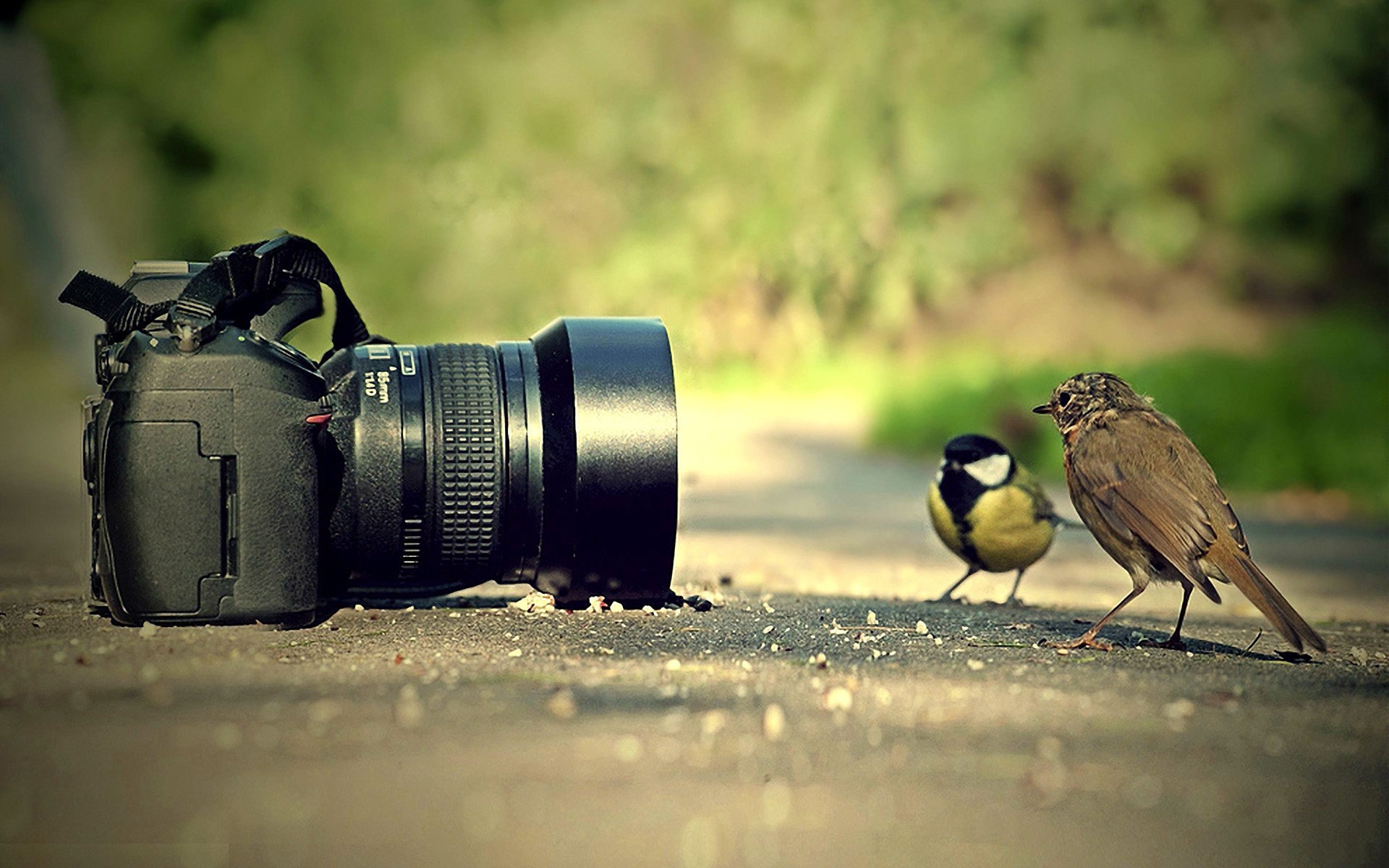 Cool Camera Photography Wallpapers