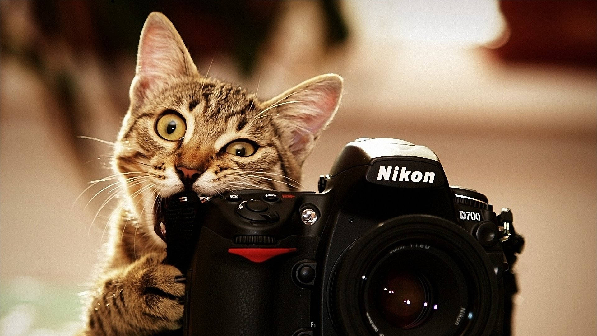 Cool Camera Photography Wallpapers