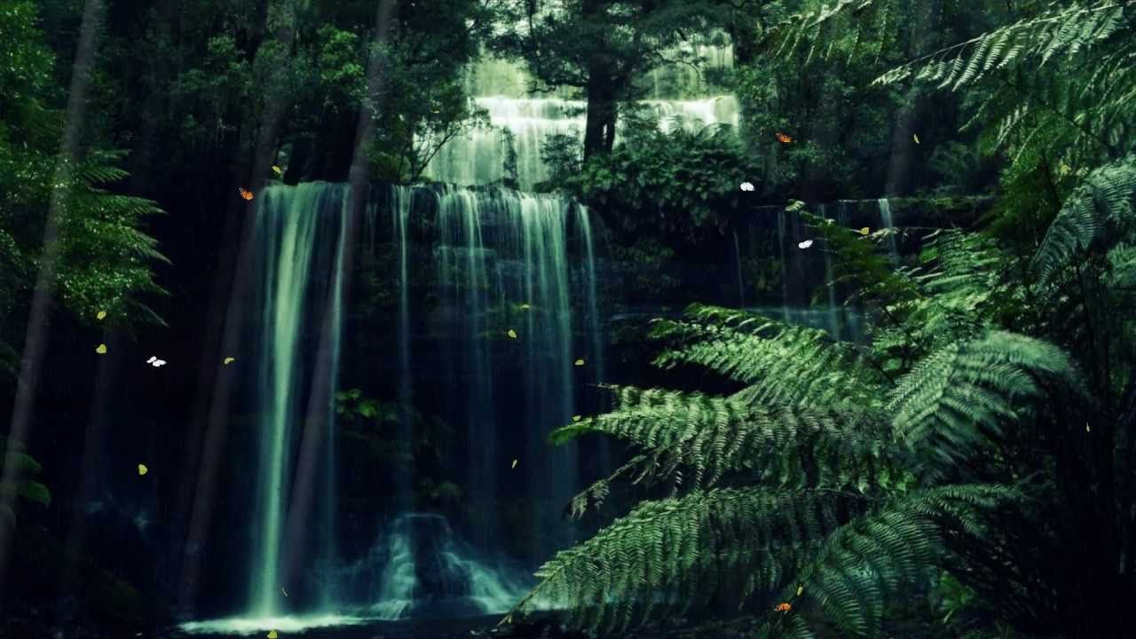 Cool Cartoon Forest Wallpapers