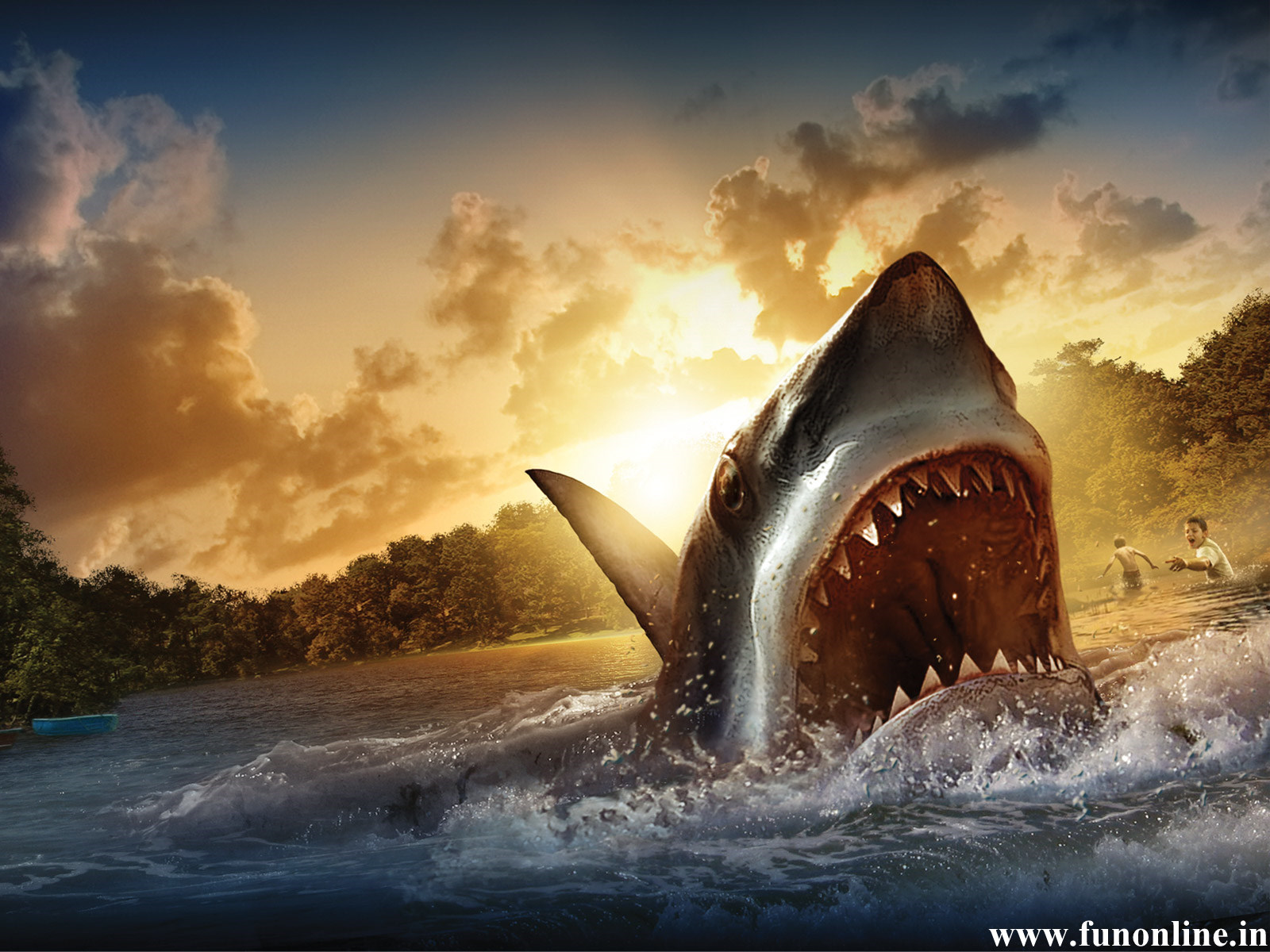 Cool Cartoon Shark Wallpapers