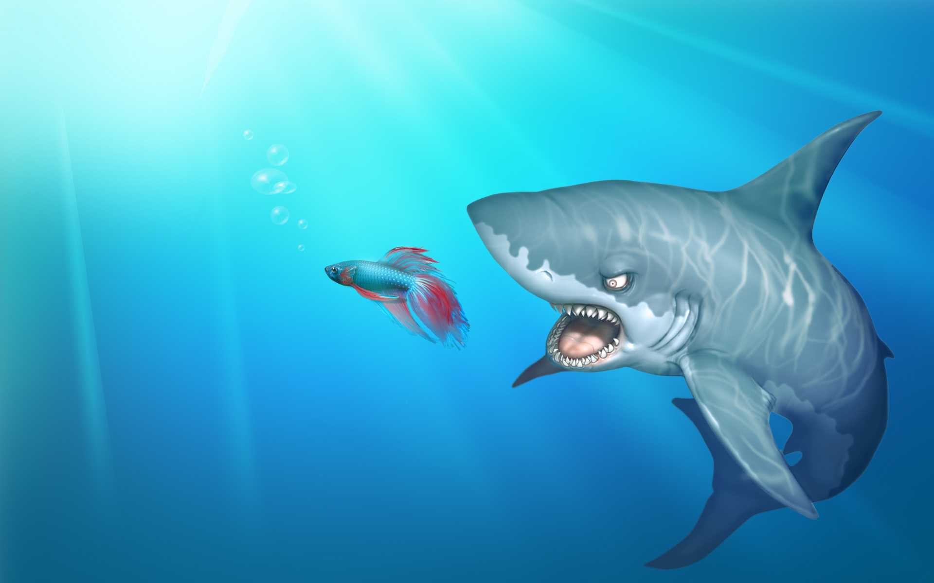 Cool Cartoon Shark Wallpapers