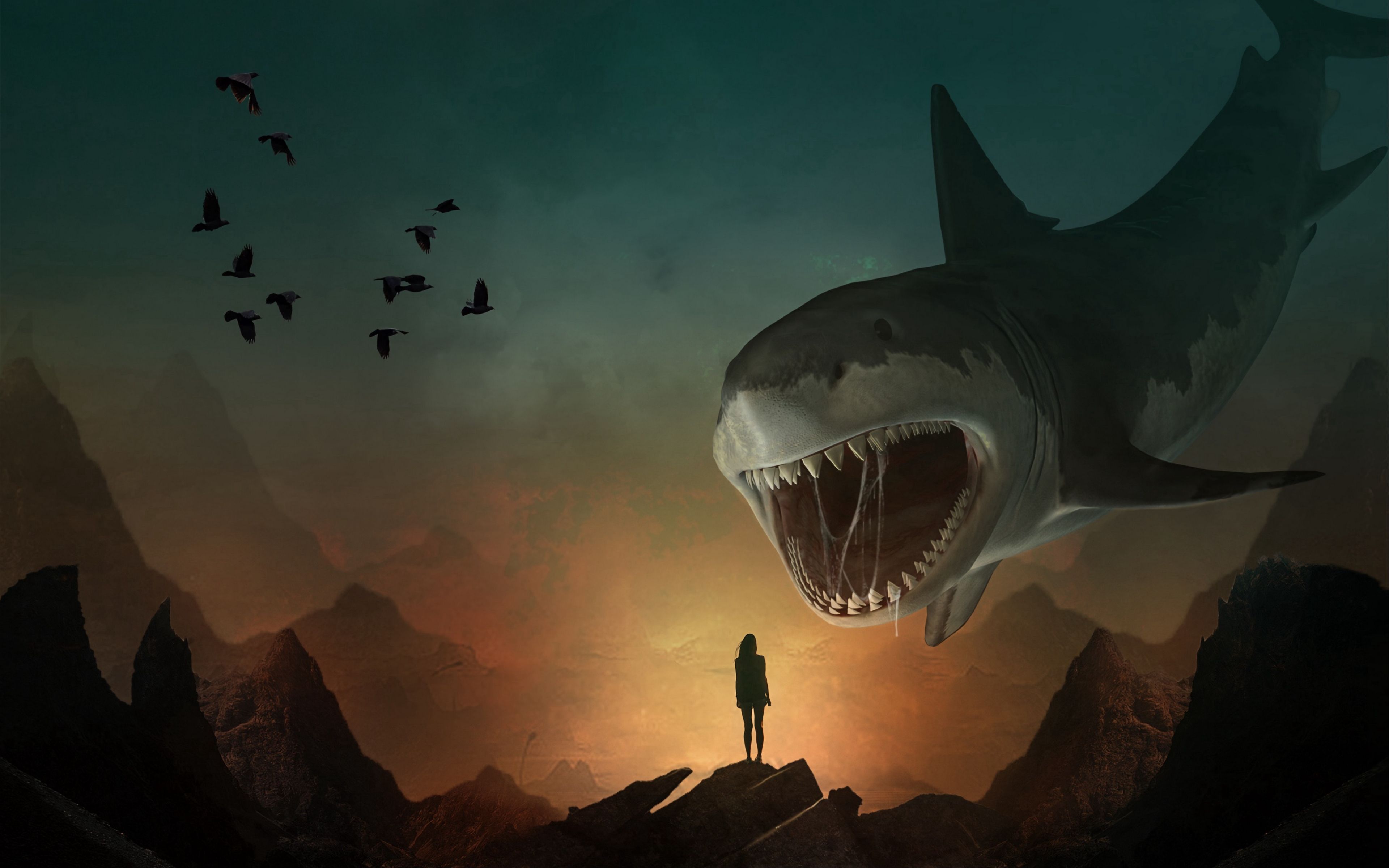 Cool Cartoon Shark Wallpapers